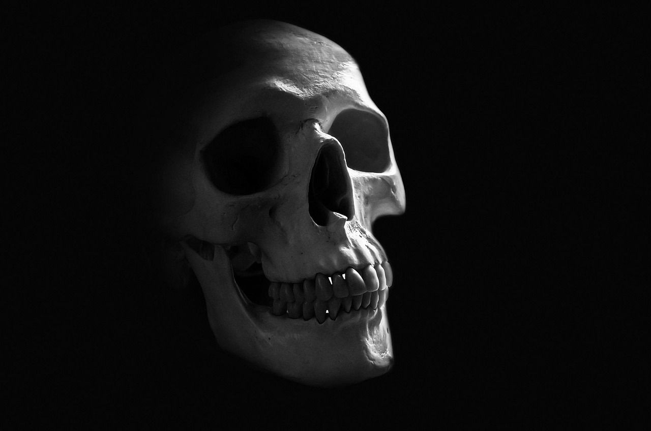 1280x848 Anatomy Background Body