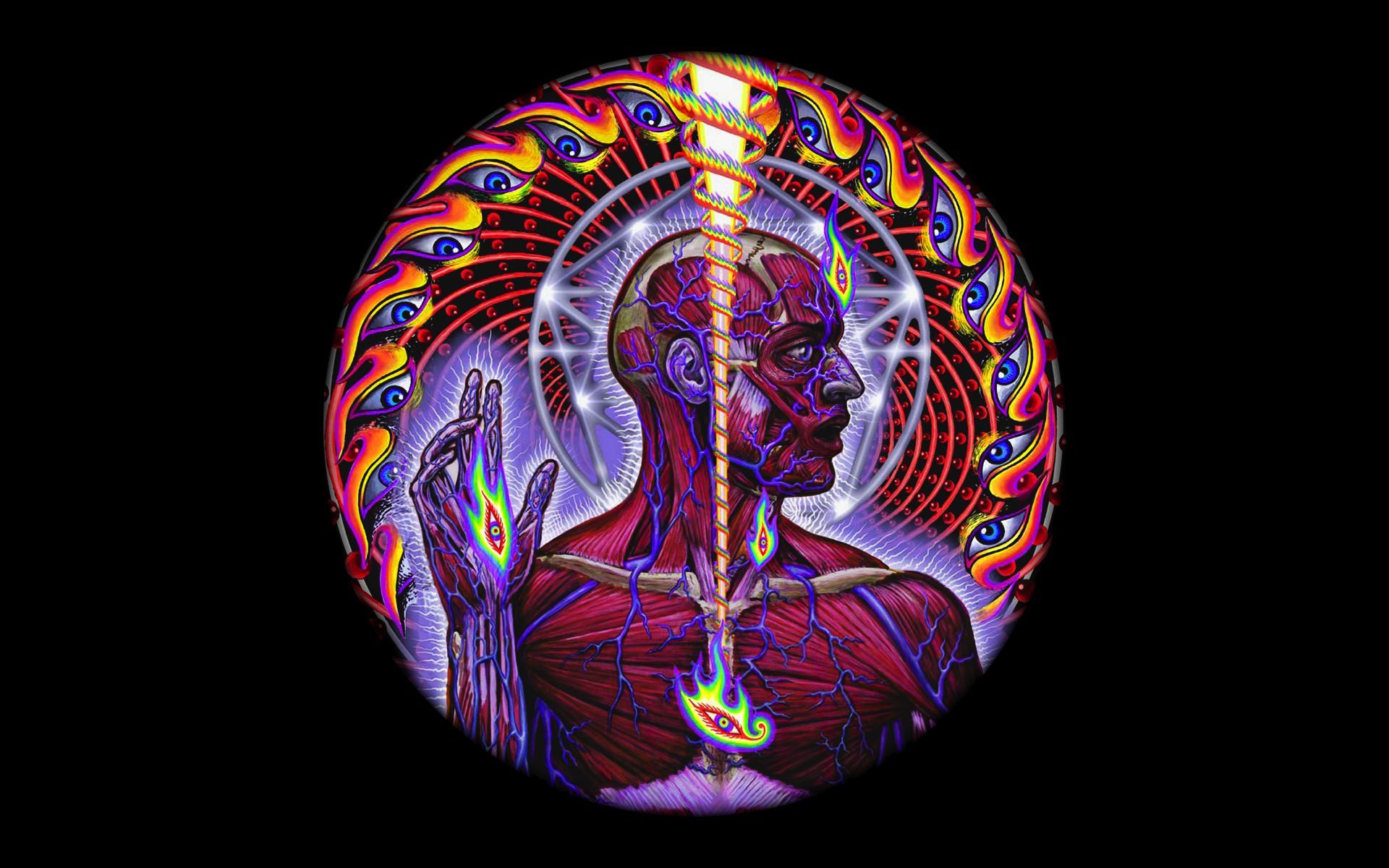 1920x1200 Anatomy Phone Wallpaper: Free 4K & HD Downloads
