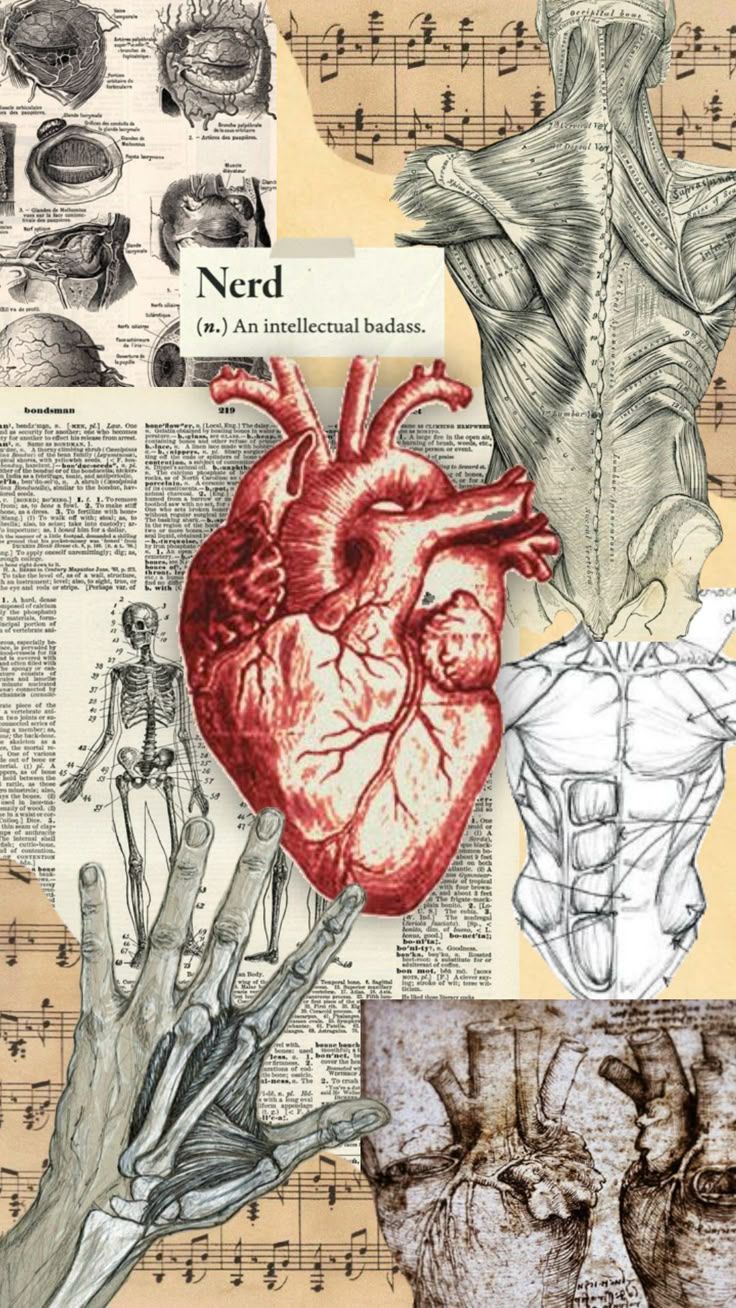 736x1308 Anatomy Collage with Vintage Aesthetic. Vintage medical art, Nursing wallpaper, Medical wallpaper