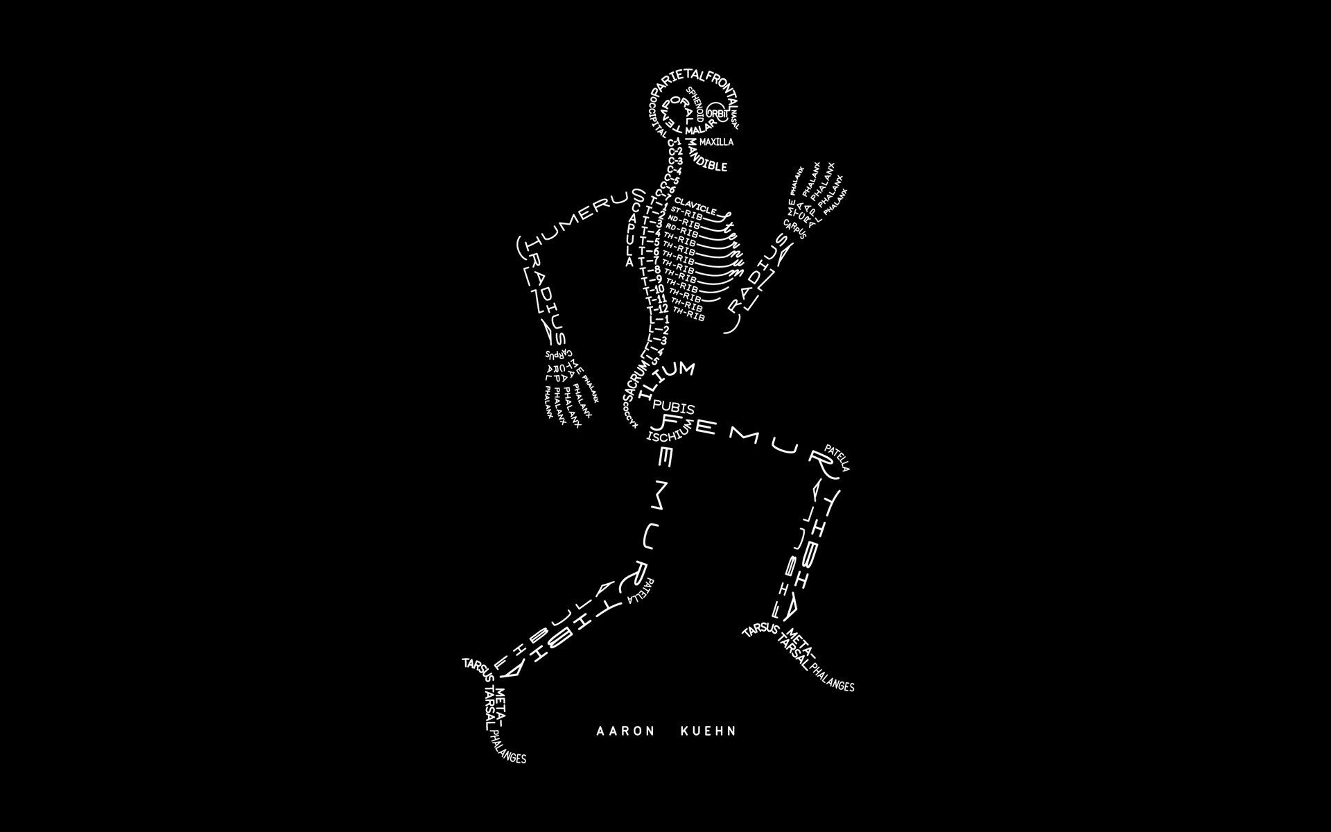 1920x1200 Anatomy Wallpaper HD