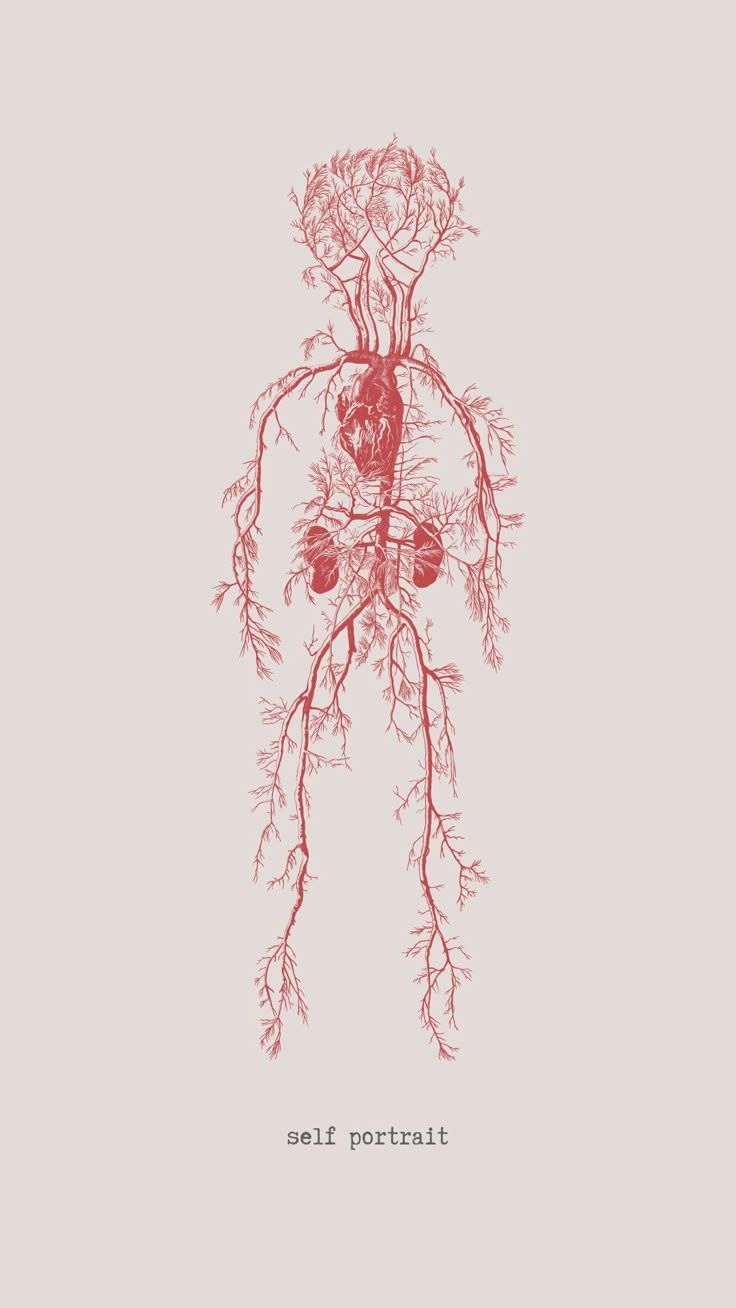 736x1308 free phone wallpaper