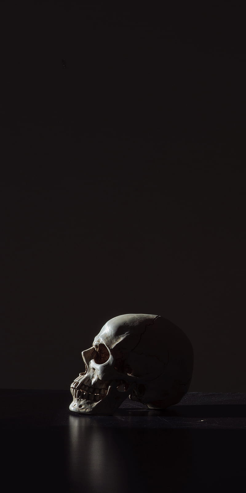 800x1600 Skull, anatomy, black, bone, dark, HD phone wallpaper