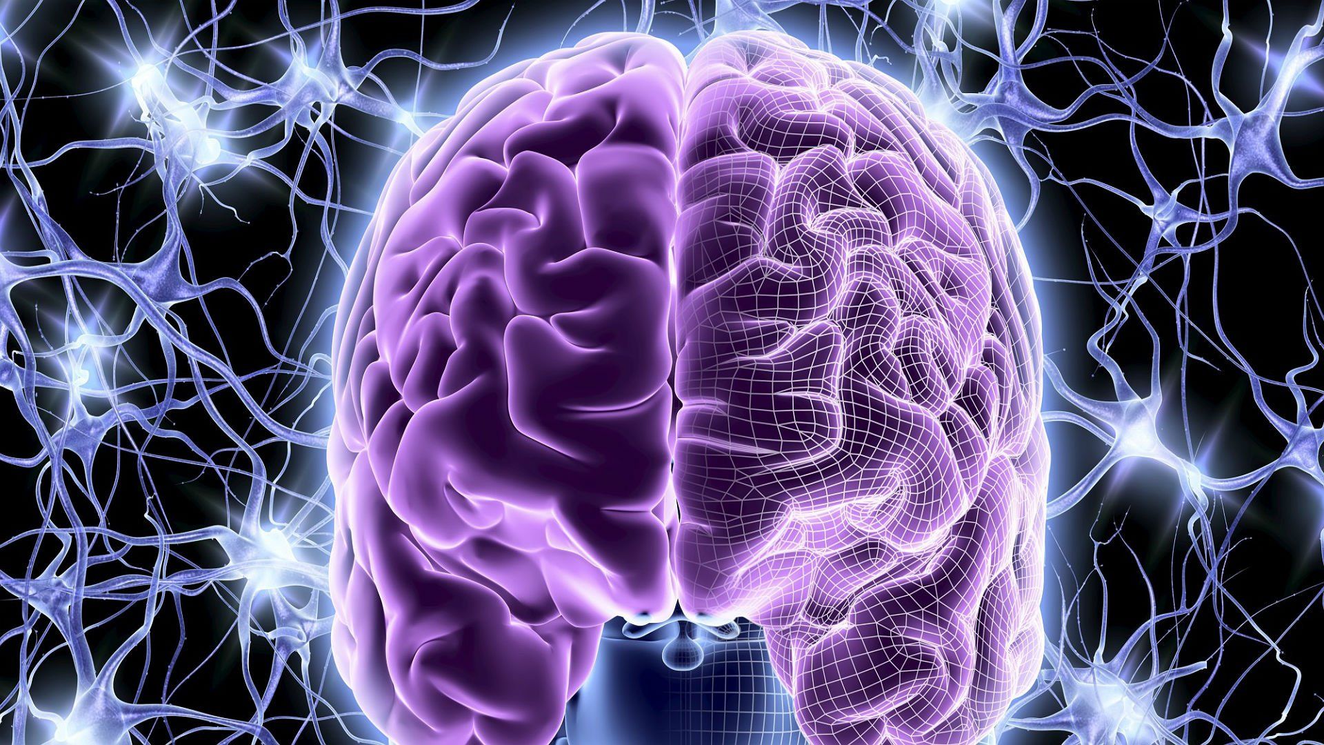 1920x1080 brain, Anatomy, Medical, Head, Skull, Digital, 3 d, X ray, Xray, Psychedelic Wallpaper HD / Desktop and Mobile Background