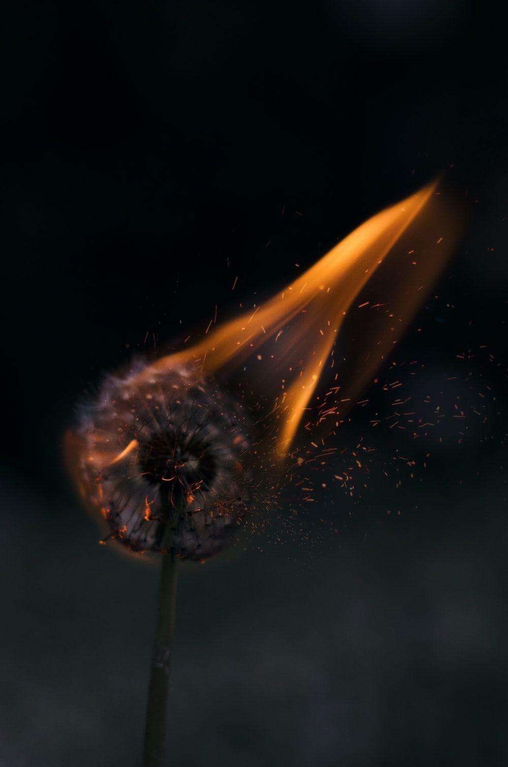 1000x1511 Dark Wallpaper: Free HD Download [HQ]