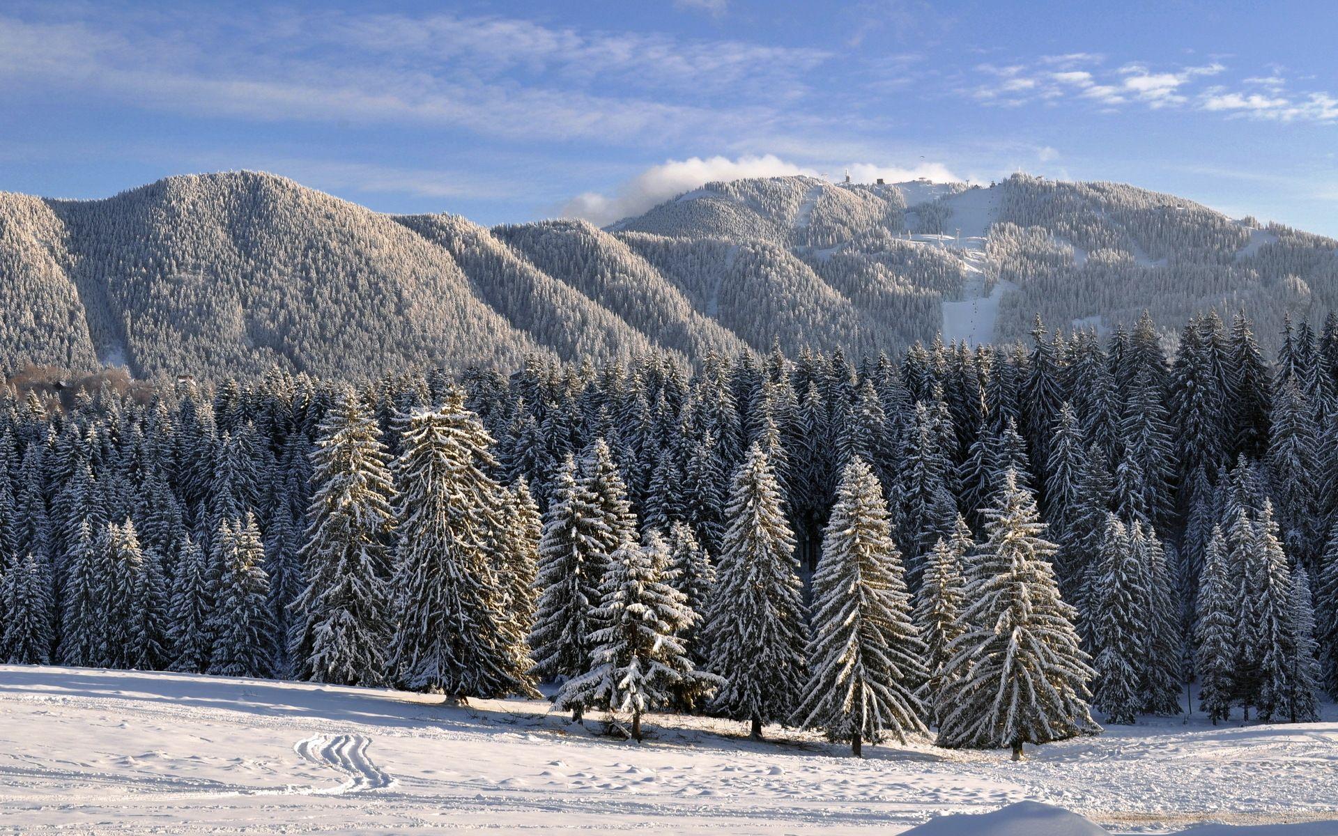 1920x1200 Winter scenary in Poiana Brasov