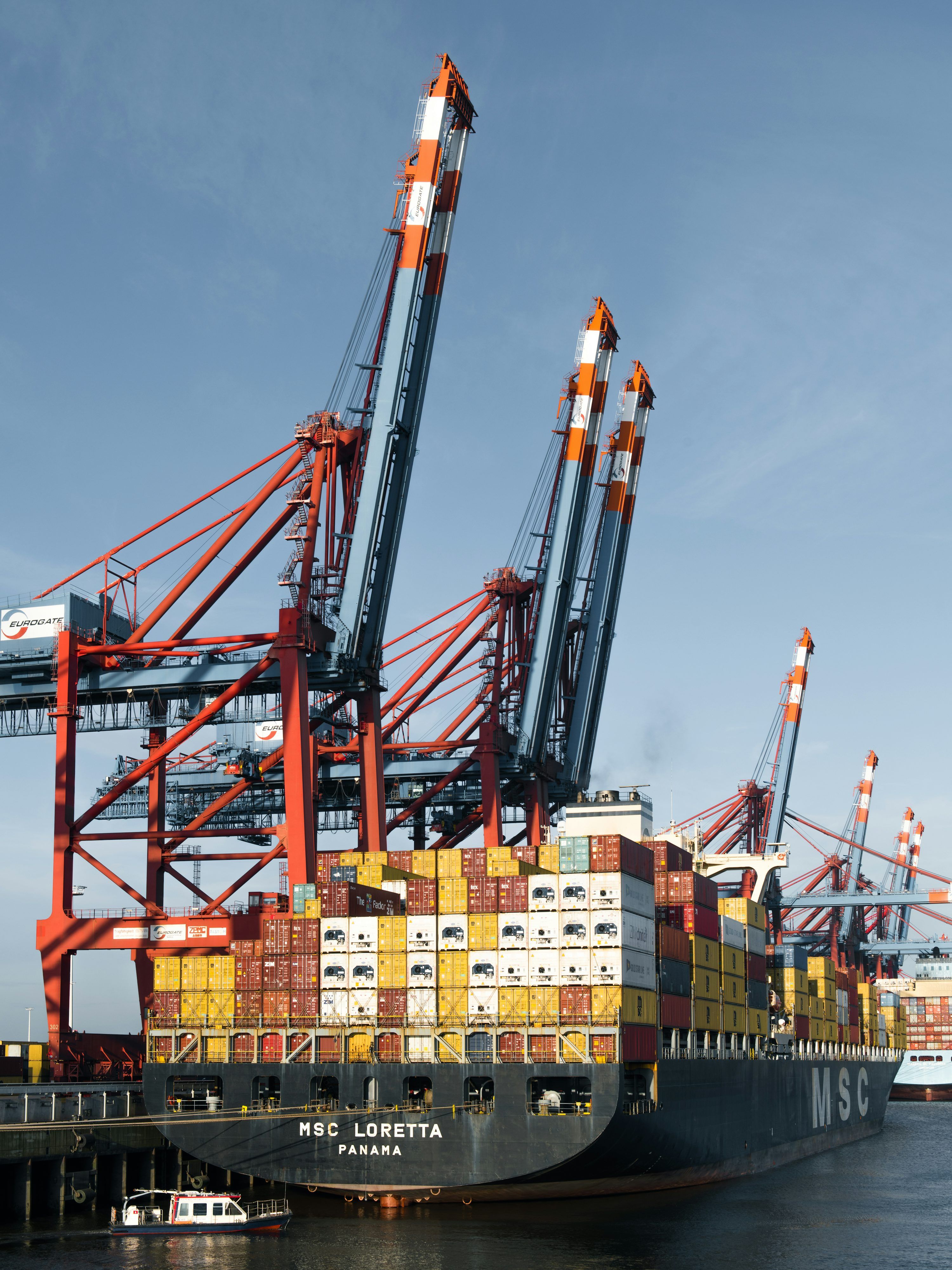 3000x4000 Msc Picture. Download Free Image
