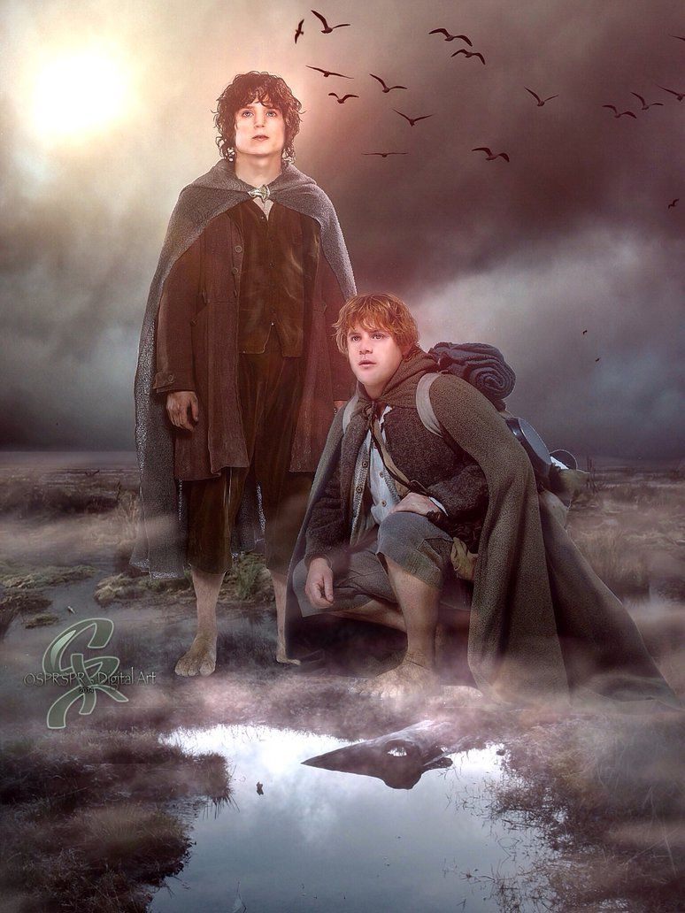 774x1032 Frodo And Sam Wallpaper