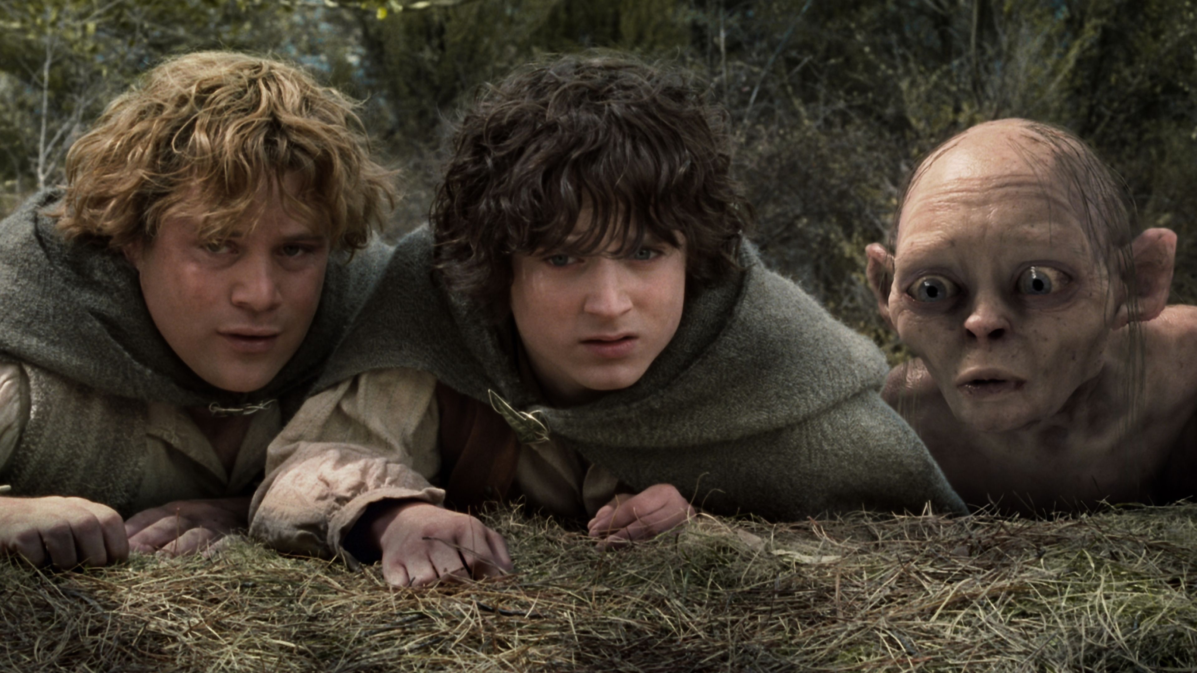 3840x2160 Frodo Wallpaper