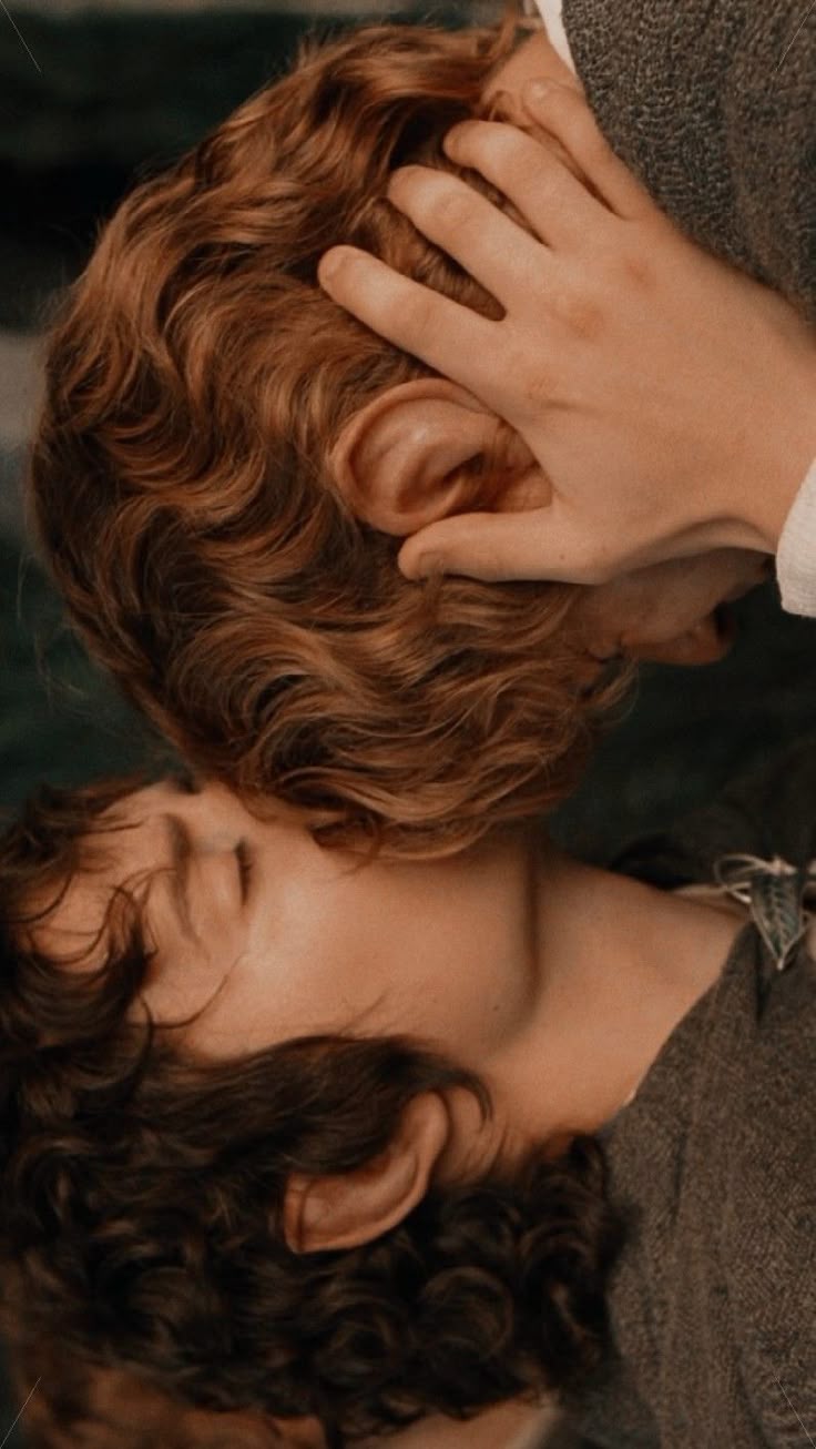 736x1306 Frodo and Sam ⎢wallpaper
