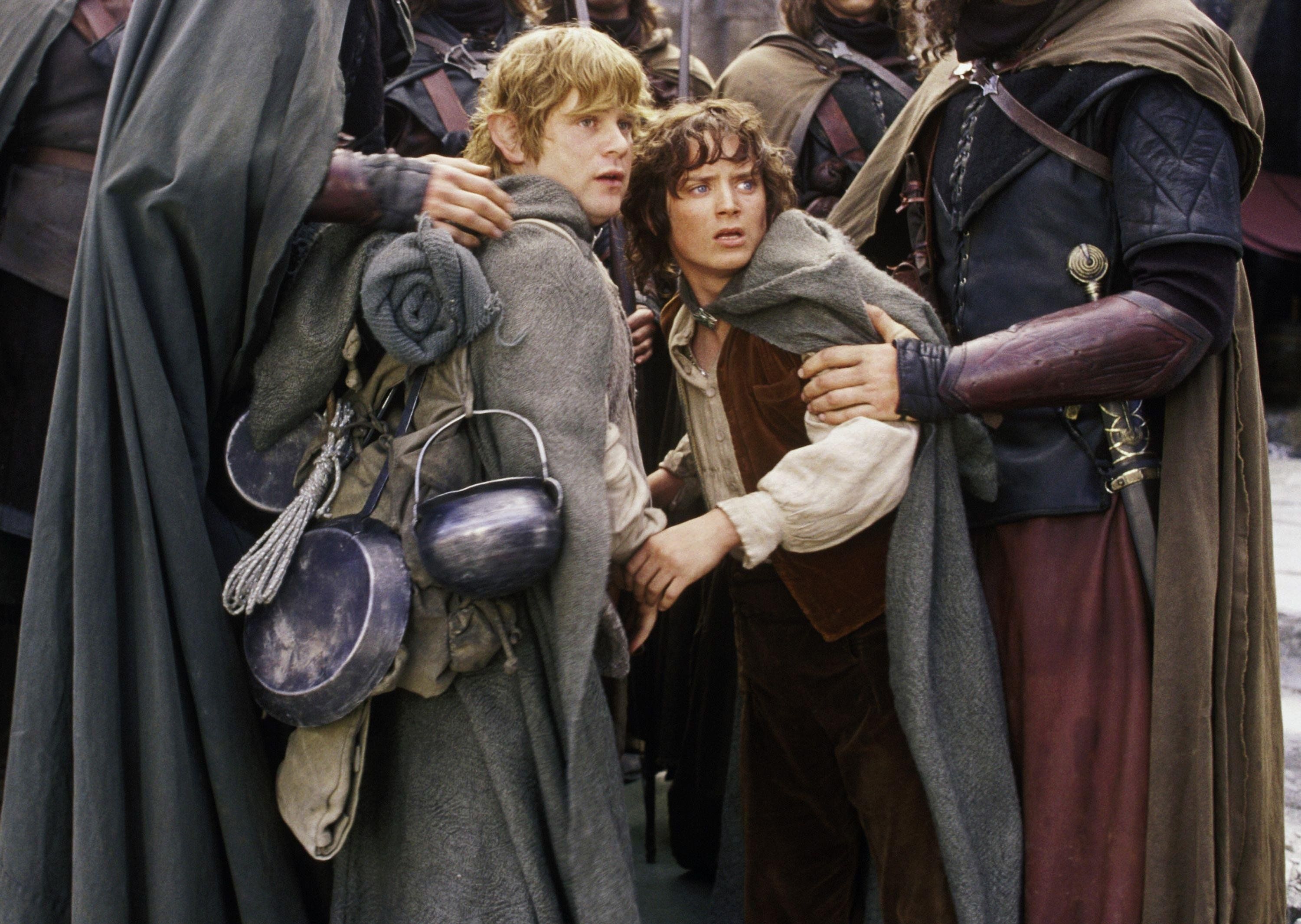 3000x2131 Frodo Wallpaper