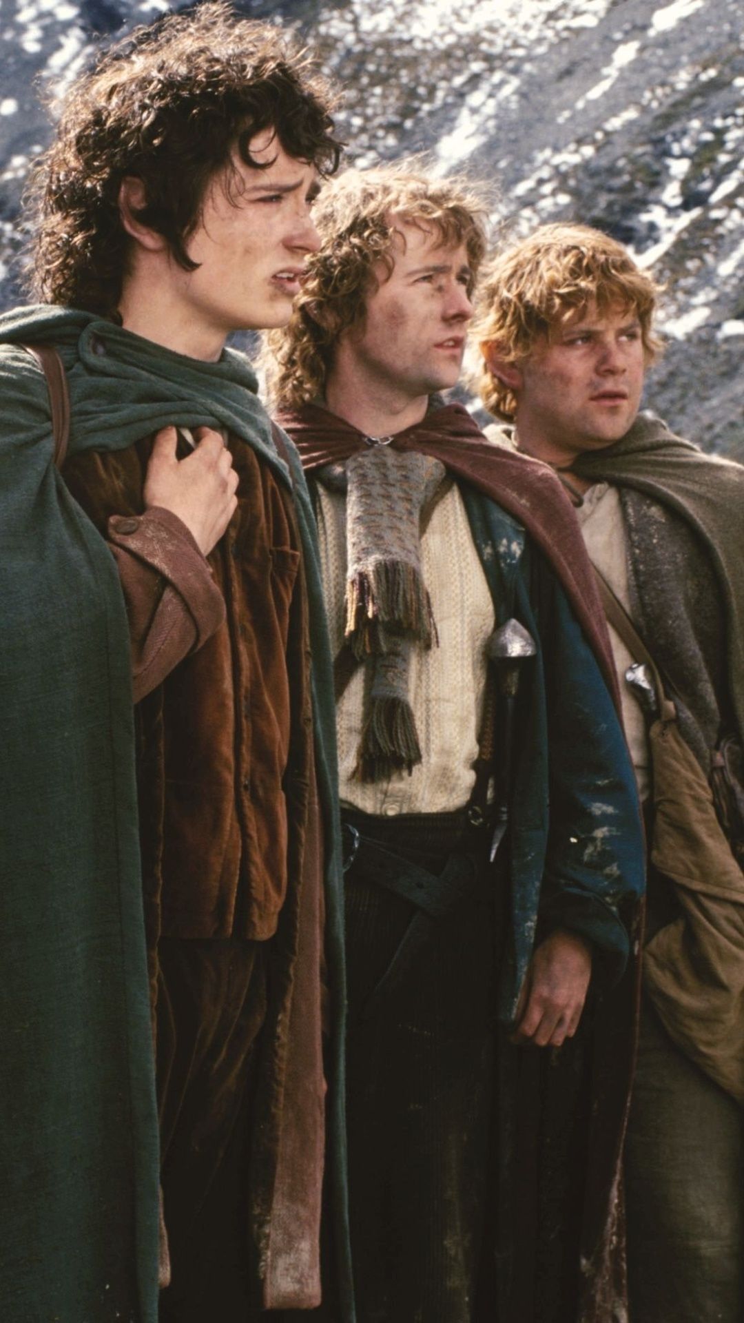 1080x1920 Sam (The Lord of the Rings) Wallpaper