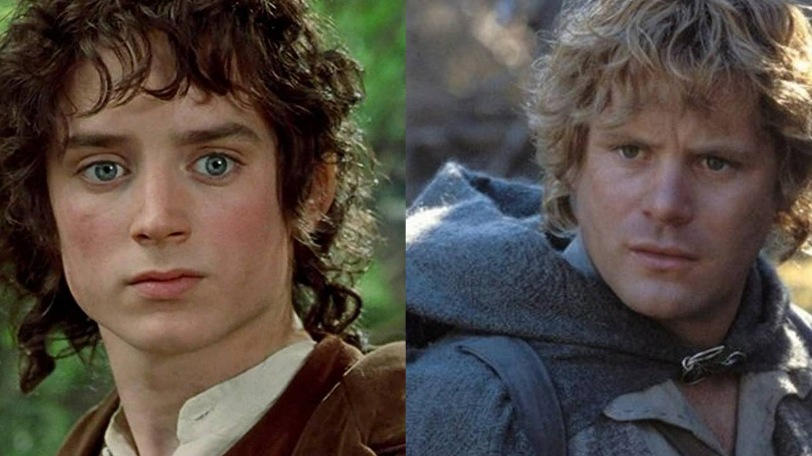 1600x900 Lord Of The Rings: 10 Quotes That Perfectly Sum Up Frodo And Sam's Relationship