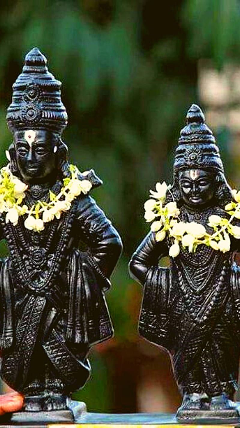 800x1422 Vitthal, rukmani, vithal, god, vithu, vittal, HD phone wallpaper