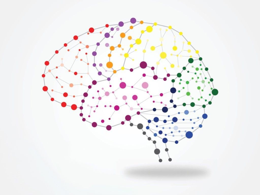 1024x768 Neurolink Psychology. Practical and Innovative Neuropsychology