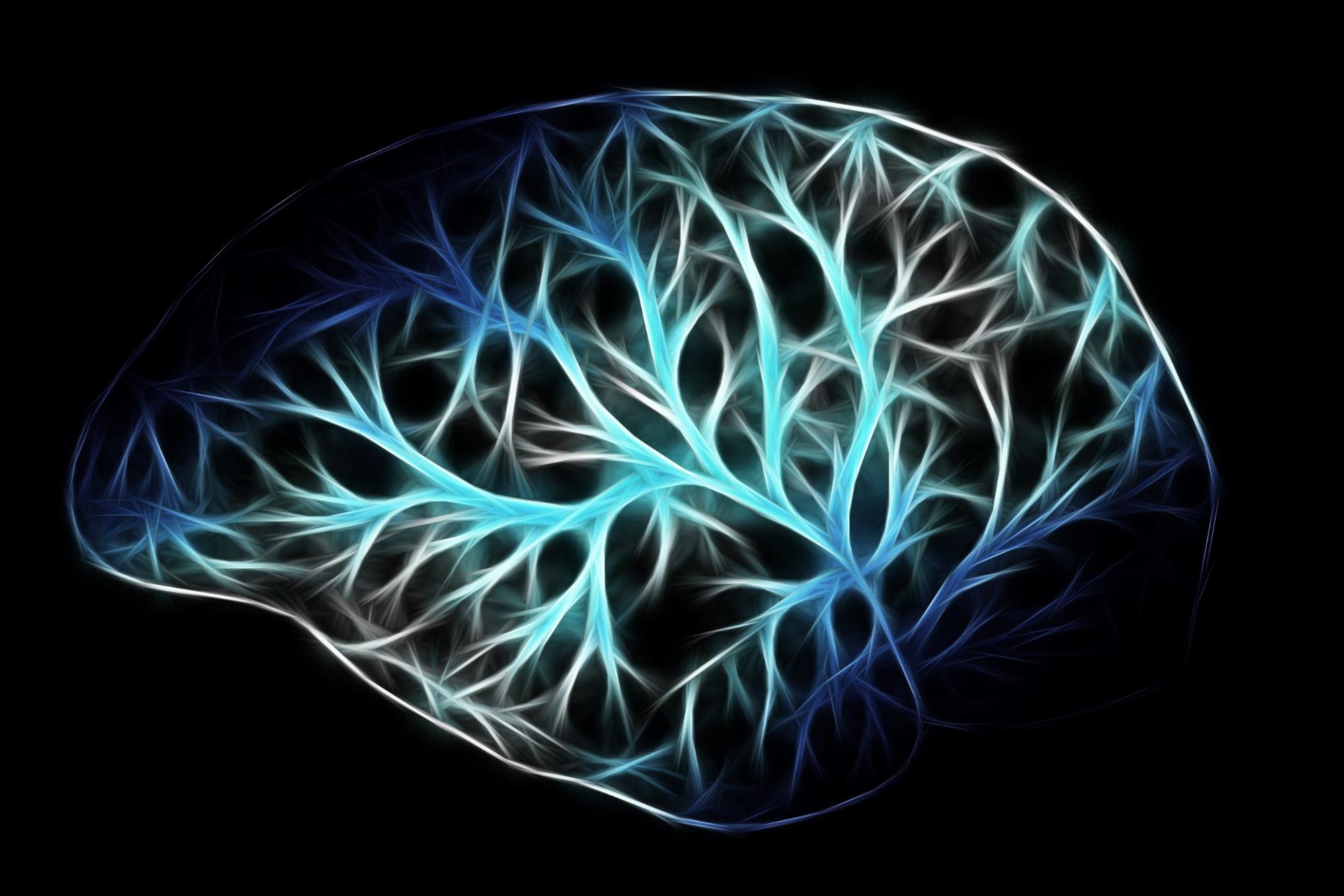 1999x1333 Neuropsychology for PsyD Students: Brain Science Guide