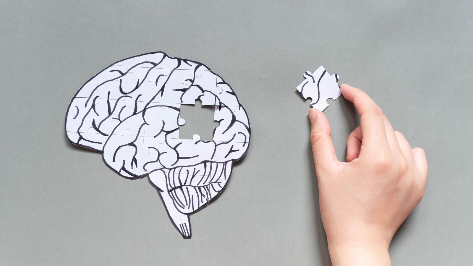 1600x900 Neuropsychology. Brain Function Specialists. Semmes Murphey Clinic