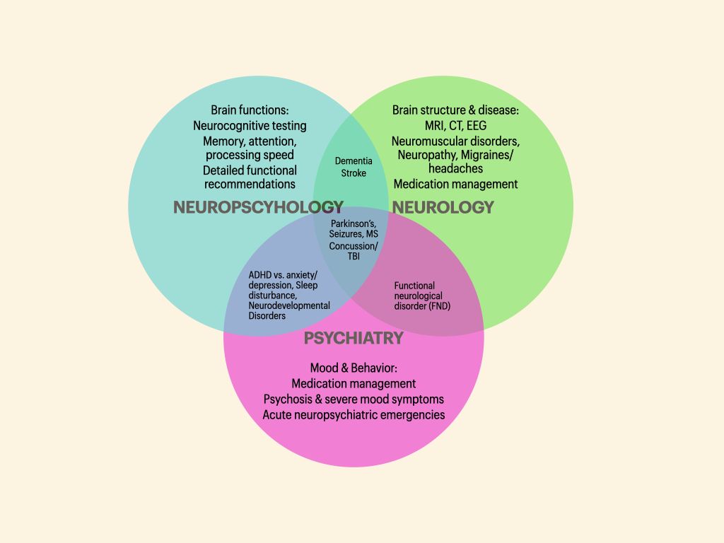1024x768 Neuropsychologist vs Neurologist vs Psychiatrist: The Key Differences