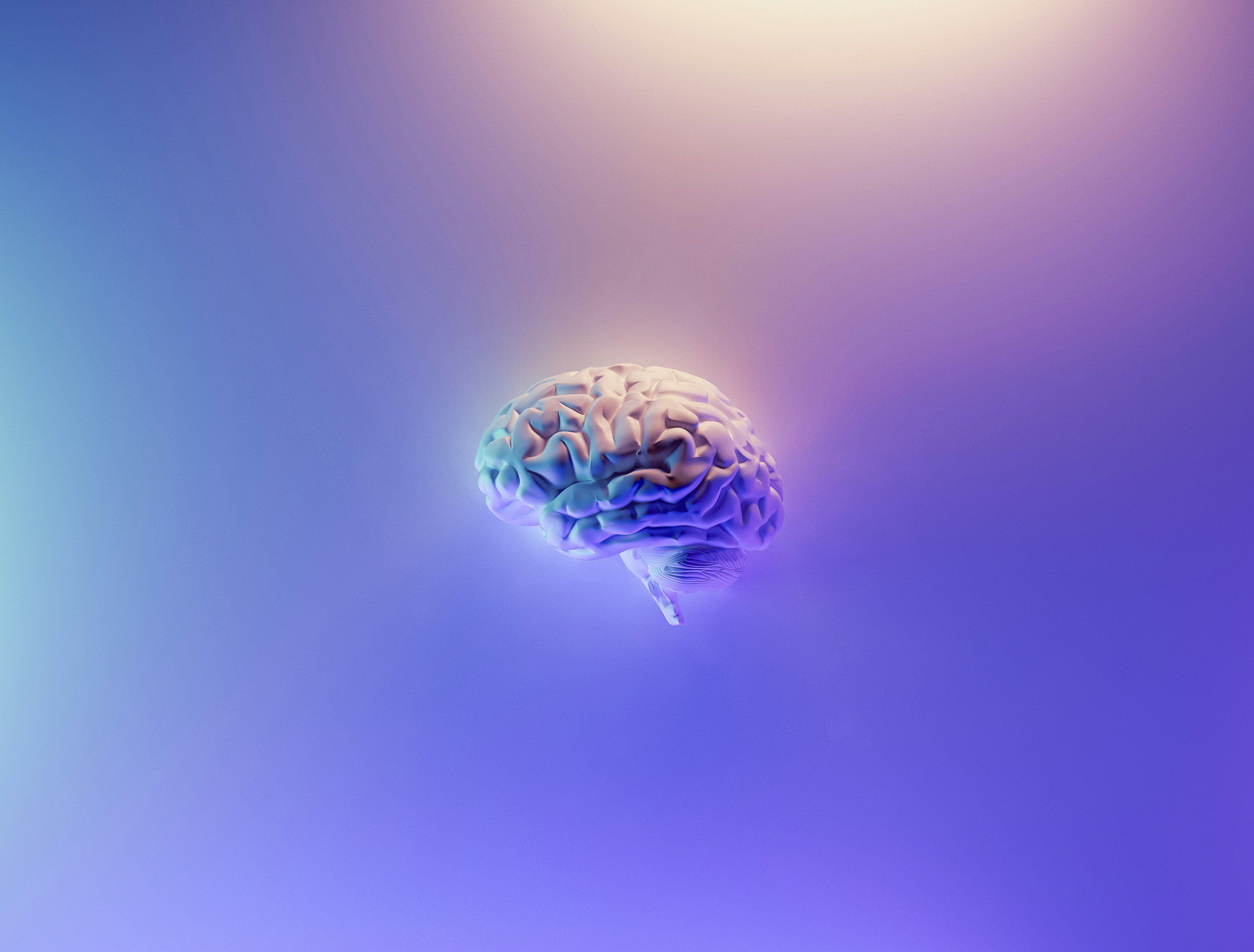 2500x1899 Prompt Neuropsych Solutions. Discover Expert Evaluations