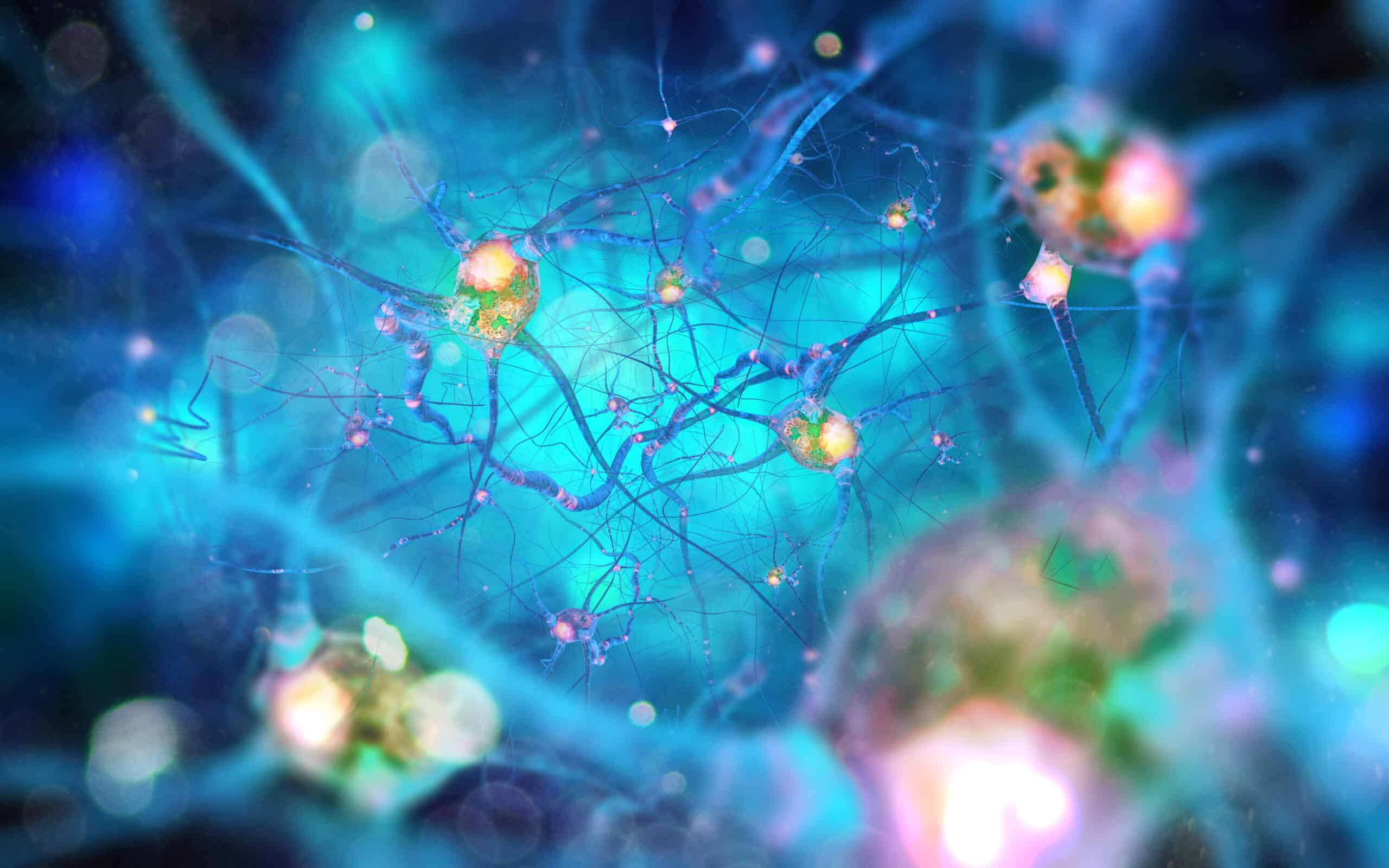2560x1600 What's The Deal With Neuropsychology? & Trauma Resource Institute