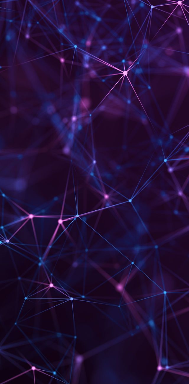 640x1296 Dr. Kaitlin Riegler
