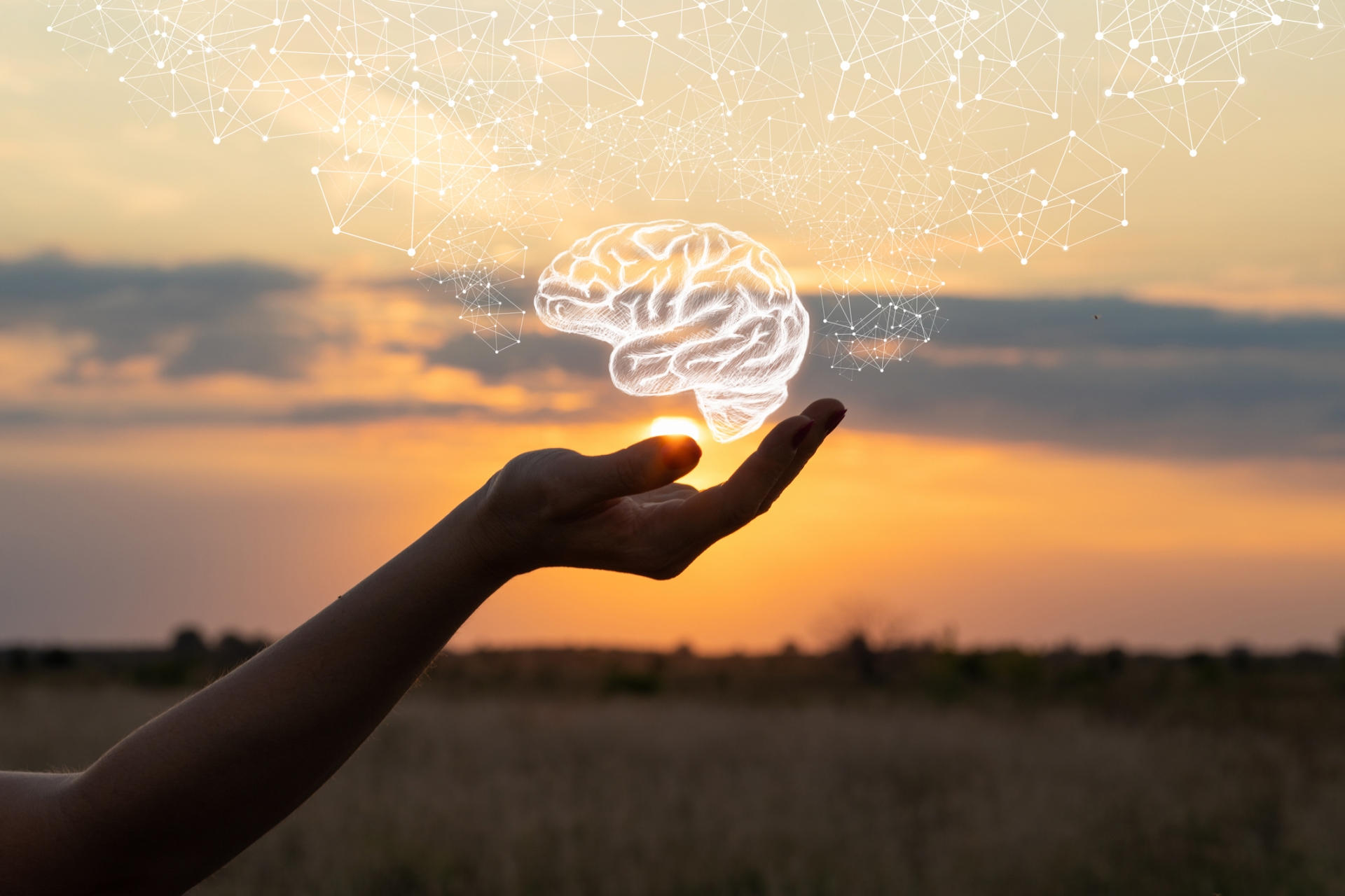 1920x1280 Services Dementia, ADHD, TBI's/ Concussions Neuropsychological Testing NJ