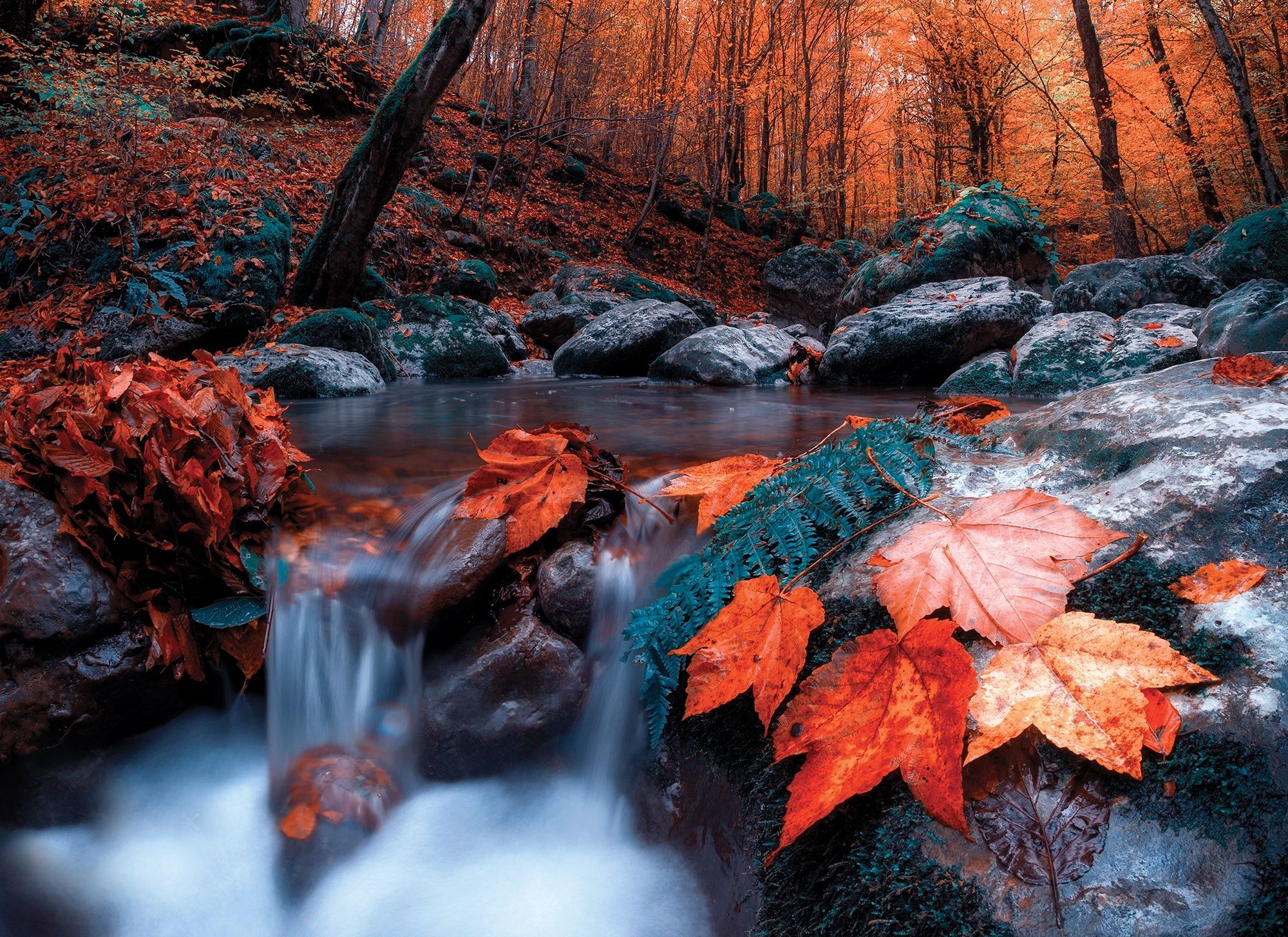 2000x1455 Wallpaper autumn, forest, leaves, trees, landscape, nature, stream, stones for mobile and desktop, section пейзажи, resolution 2000x1455