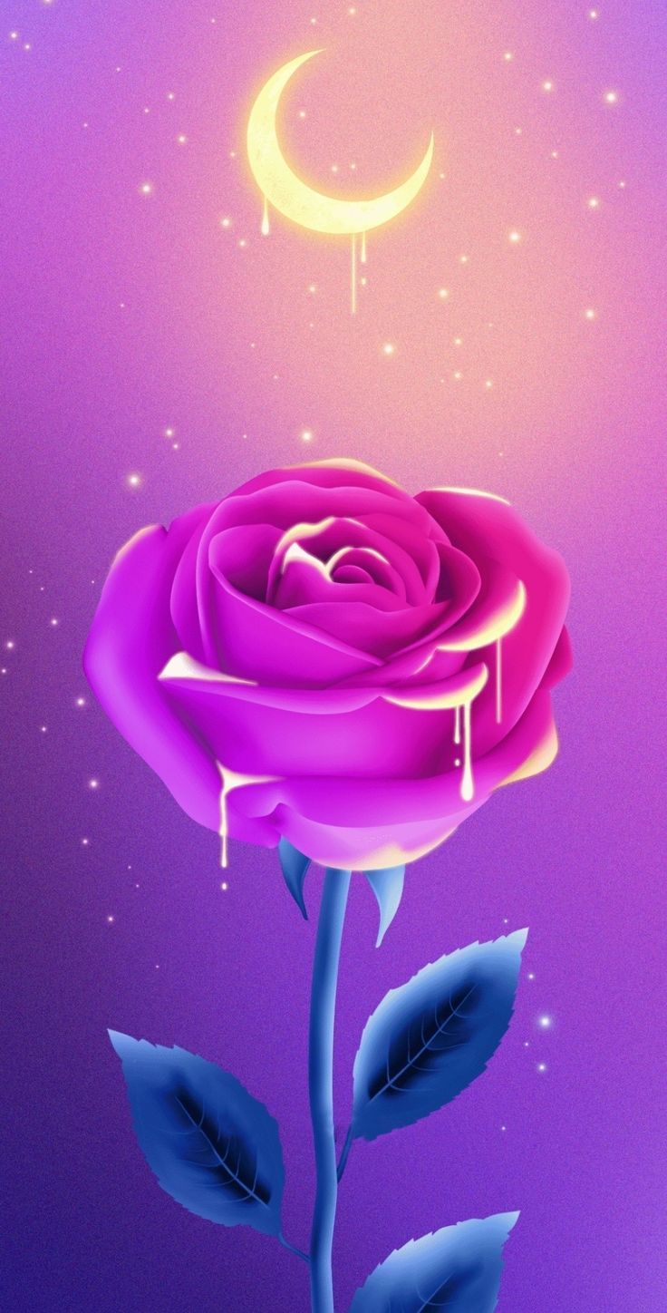 736x1448 Rose flowing with moonlight