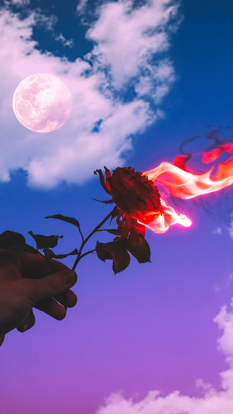 800x1422 HD aesthetic rose moon wallpaper