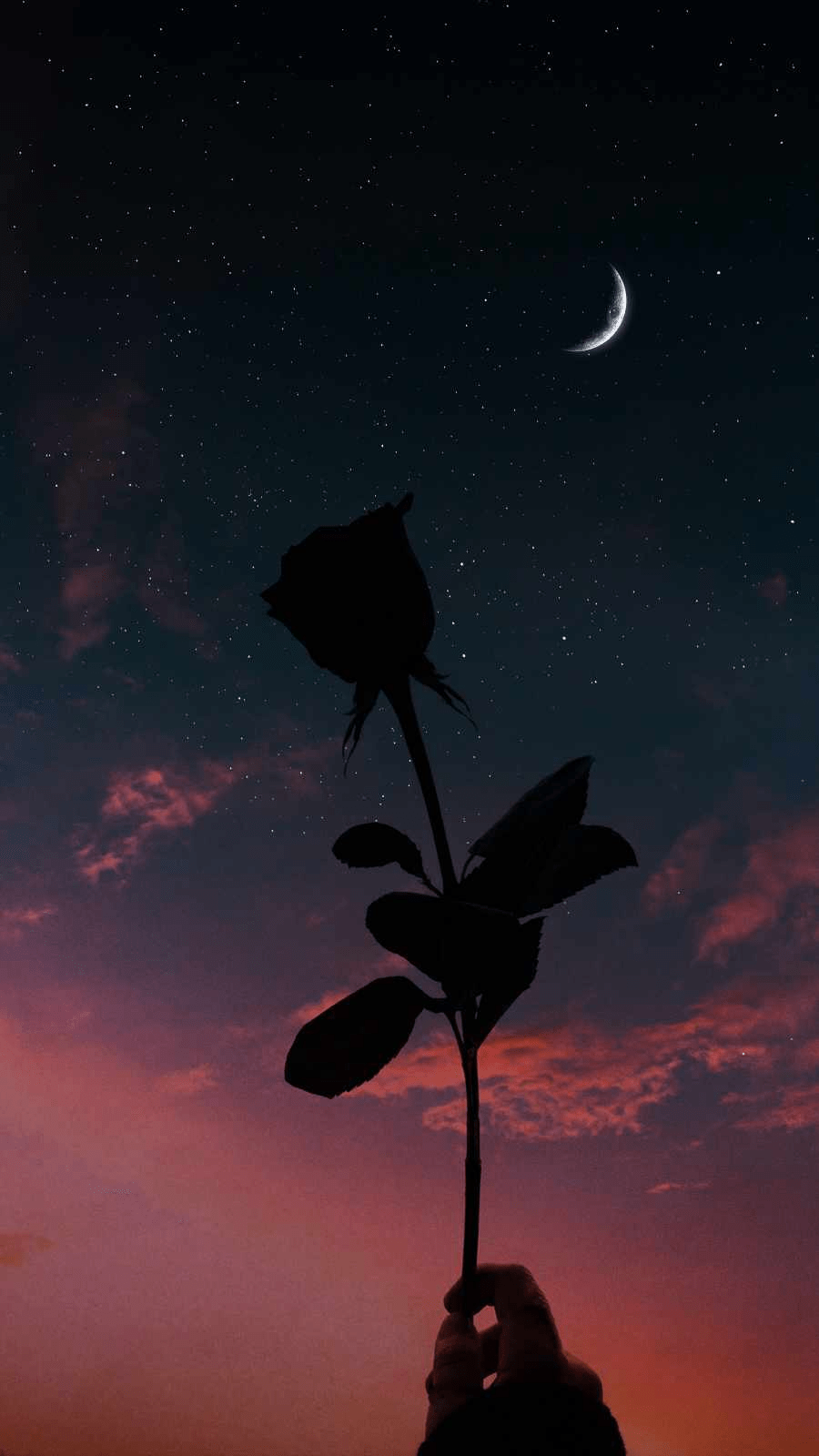 900x1600 Moon With Flowers Wallpaper