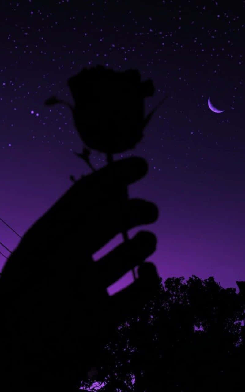 800x1280 Download Silhouette Rose Under Starry Night Sky Wallpaper