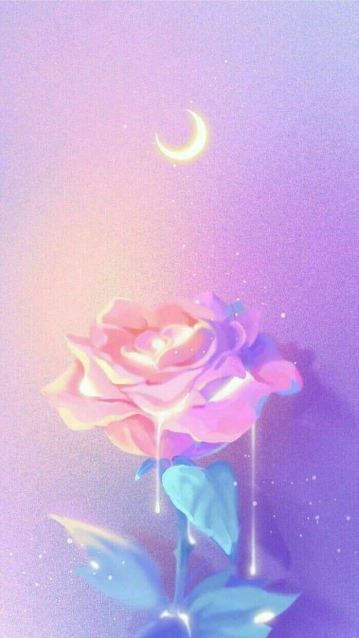 720x1280 Pastel sky moon & a soft rose. mobile wallpaper [720x1280]