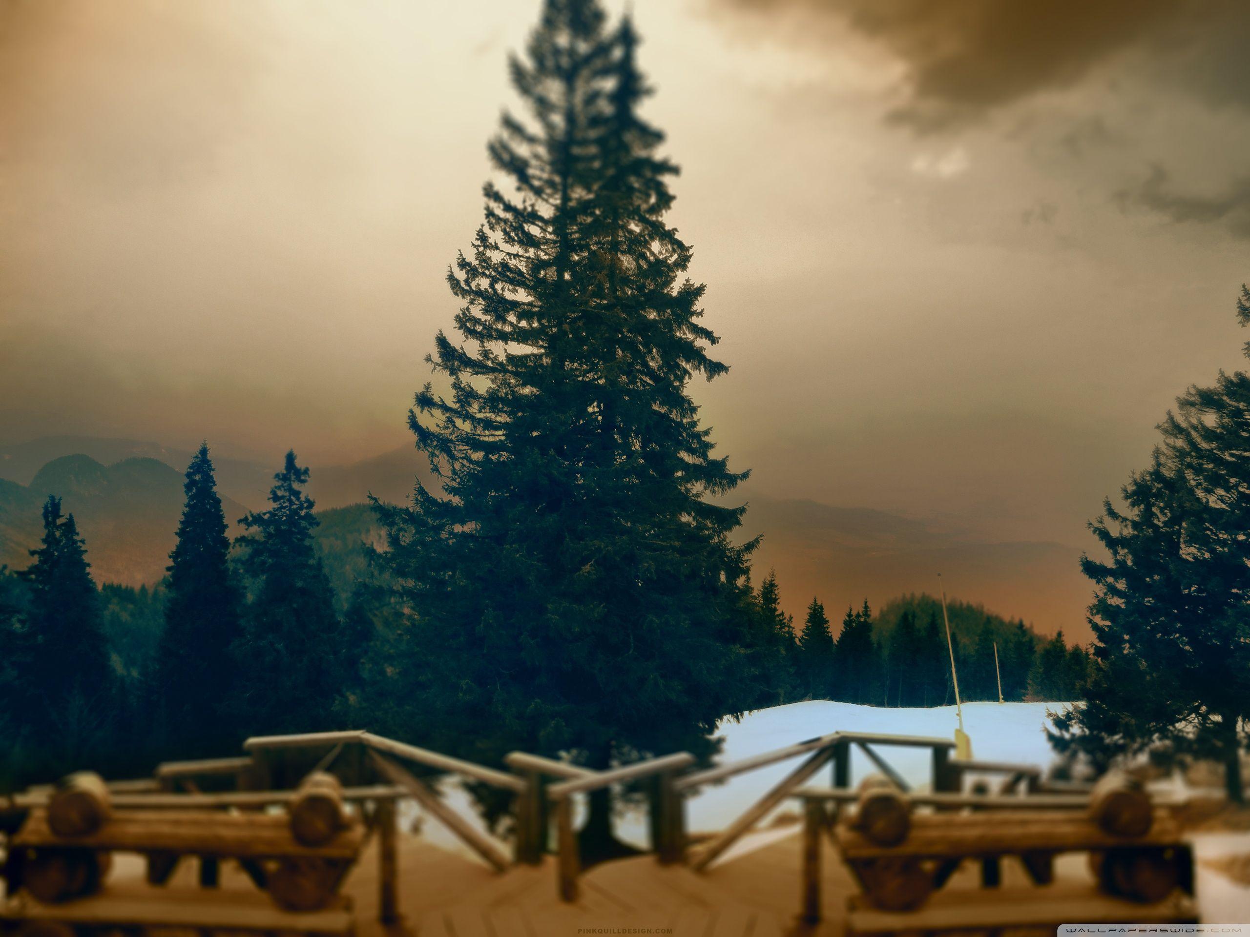 2560x1920 Poiana Brasov Ultra HD Desktop Background Wallpaper for 4K UHD TV : Widescreen & UltraWide Desktop & Laptop