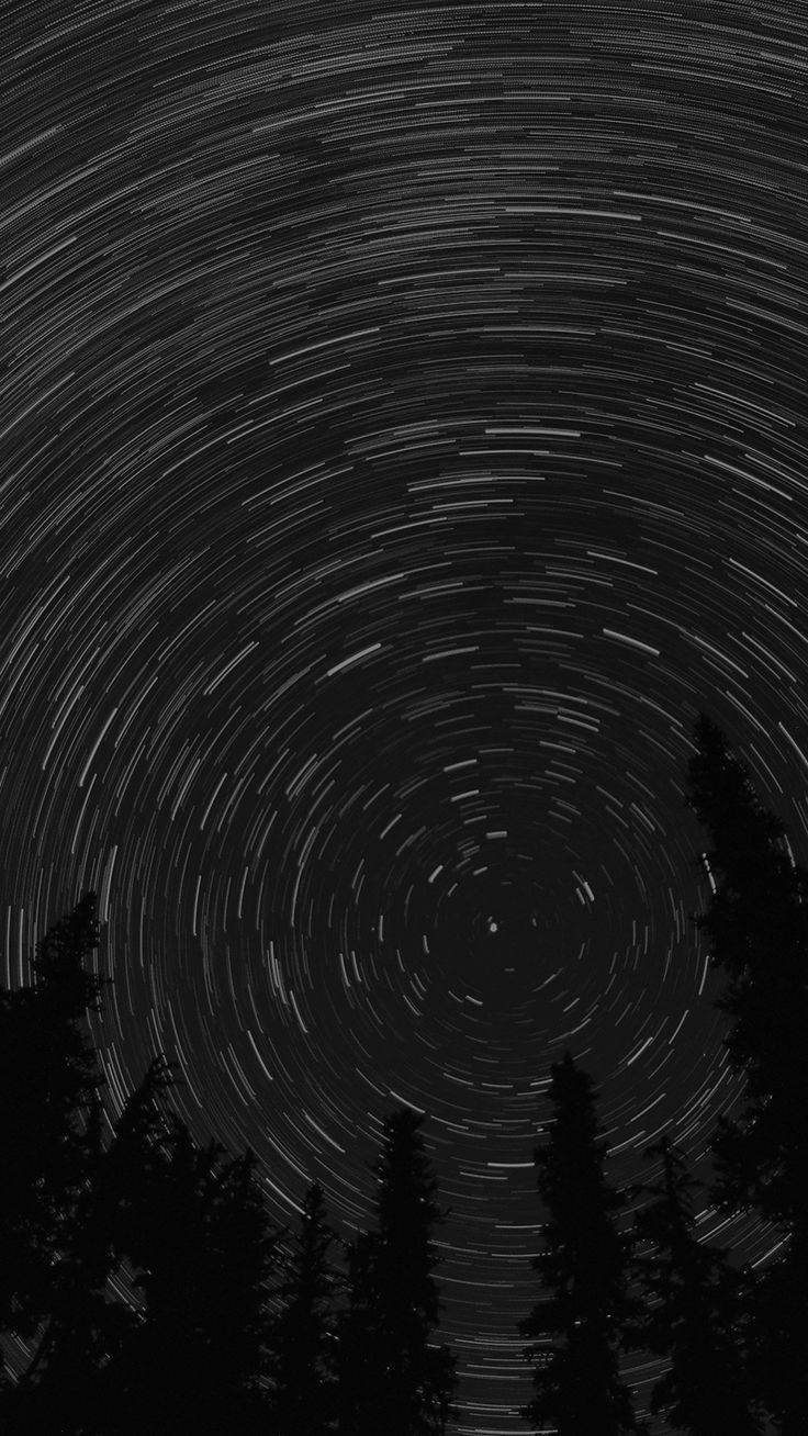736x1308 Star Trail Green Tree Space Night Dark Nature iPhone 8 Wallpaper