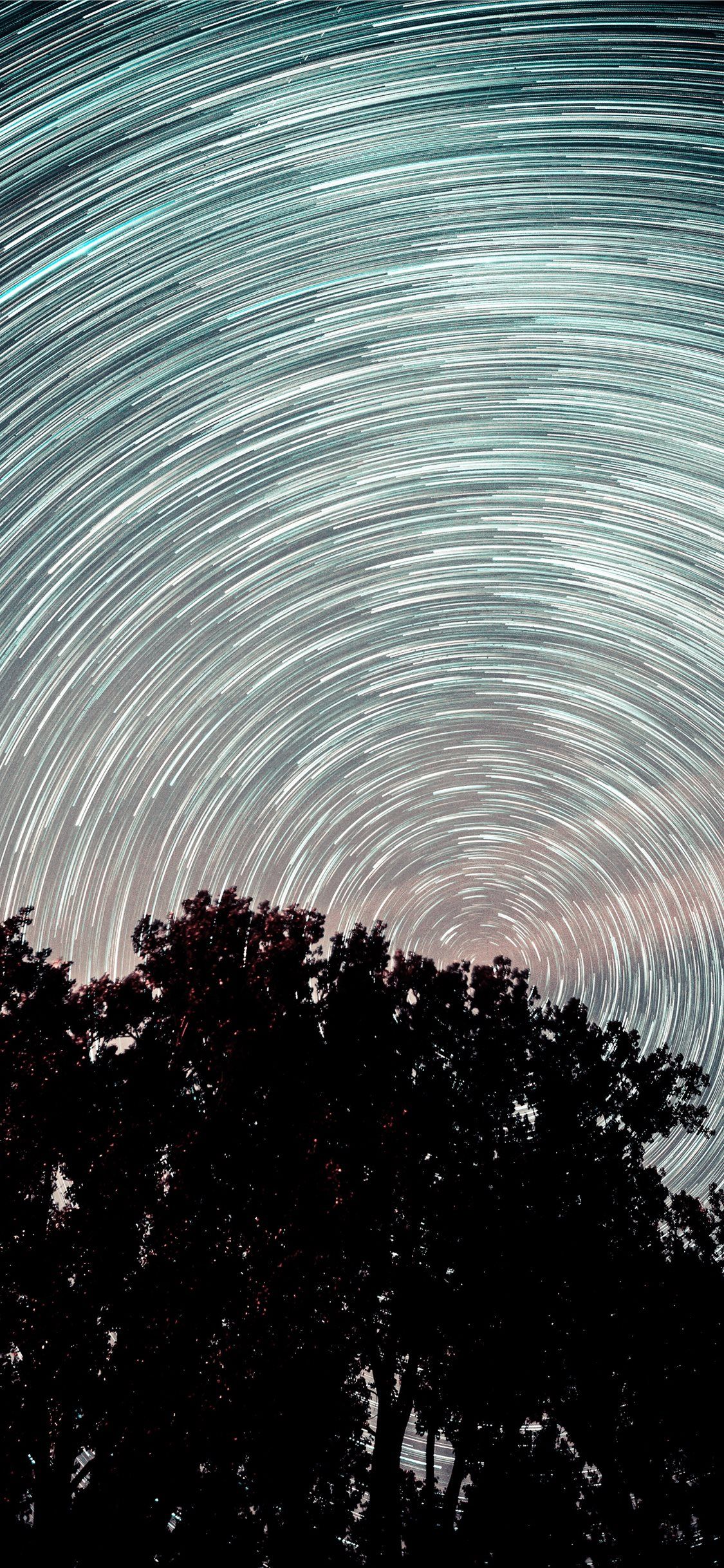 1125x2436 Startrail over trees iPhone X Wallpaper Free Download