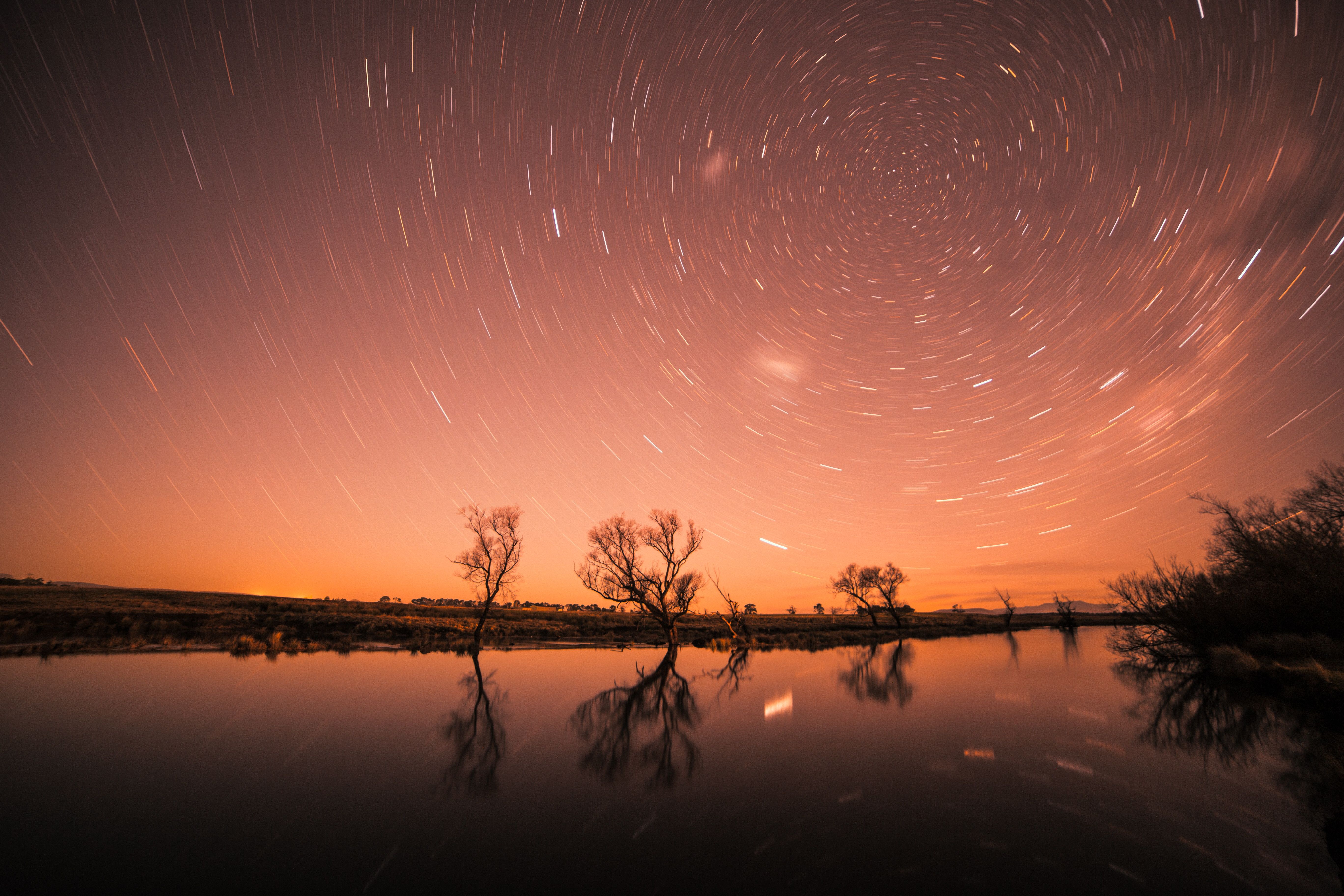5472x3648 Startrail Longexposure Trees Cool Wallpaper, HD Nature Wallpaper, 4k Wallpaper, Image, Background, Photos and Picture