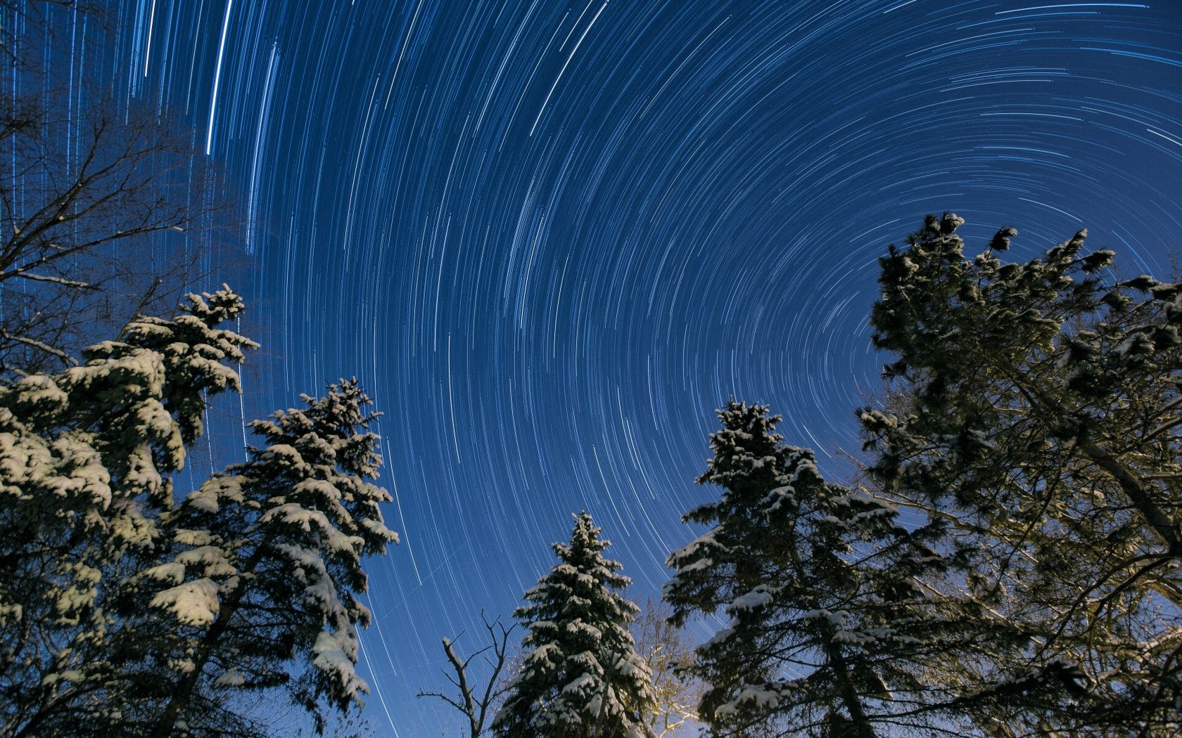 1680x1050 Winter, Night, Star Trail, Snowy Trees 4K UHD Wallpaper for UltraHD Desktop and TV : Widescreen and UltraWide Display : Smartphone and Tablet Devices