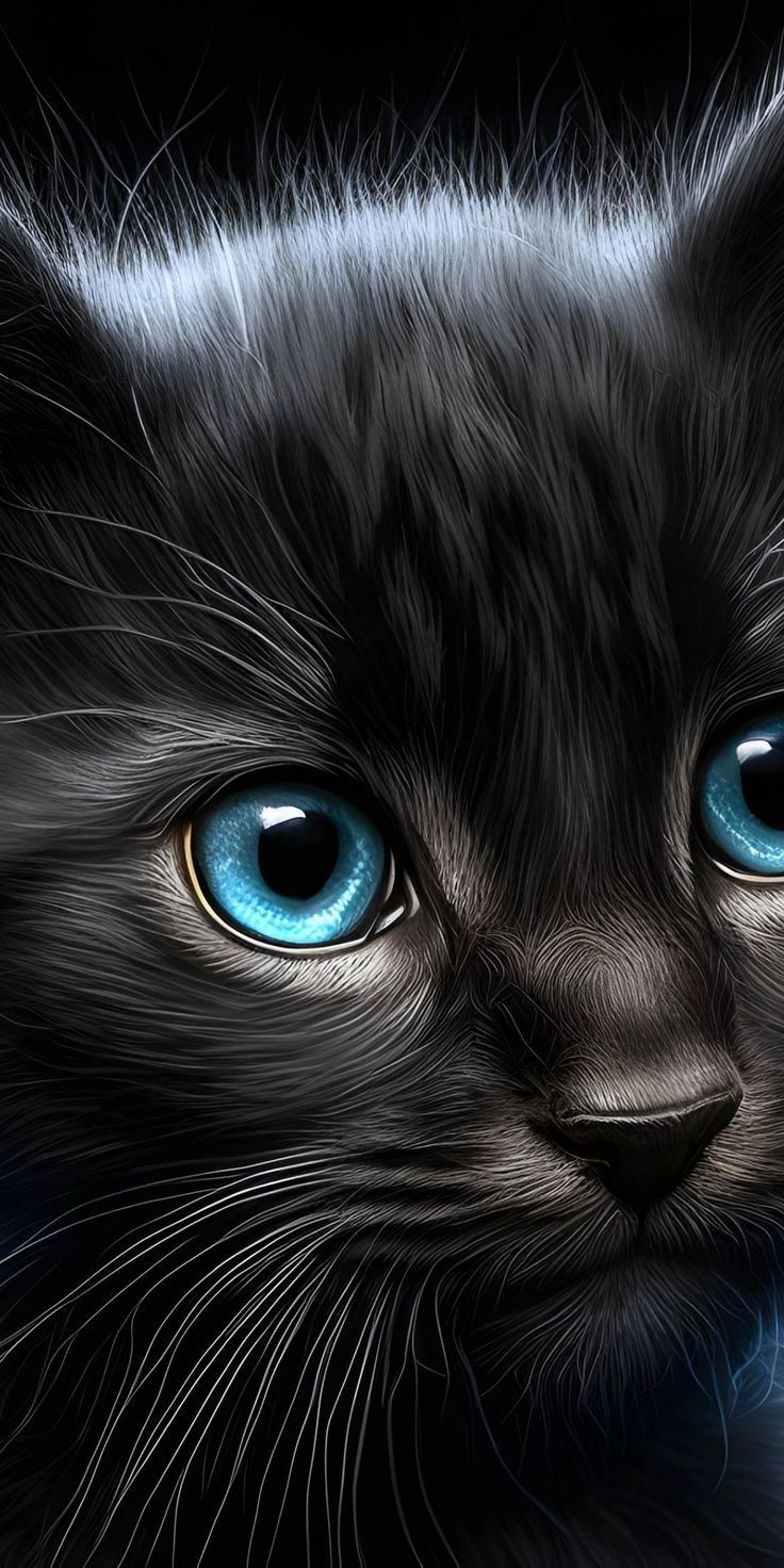 736x1472 Majestic Black Cat with Blue Eyes. Black cats with blue eyes, Cool black cat wallpaper, Black cat art