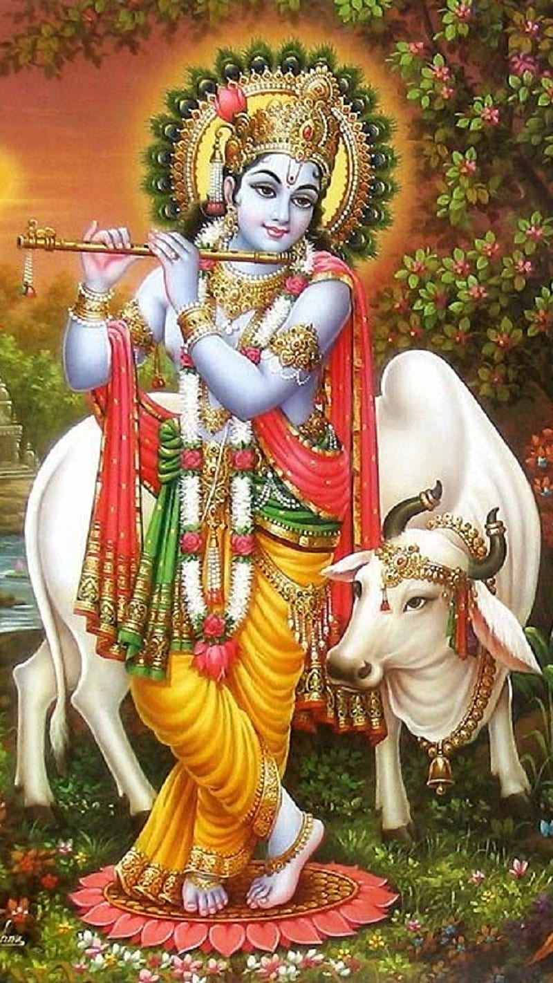 800x1422 Lord Krishna, hindu god, religion, HD phone wallpaper