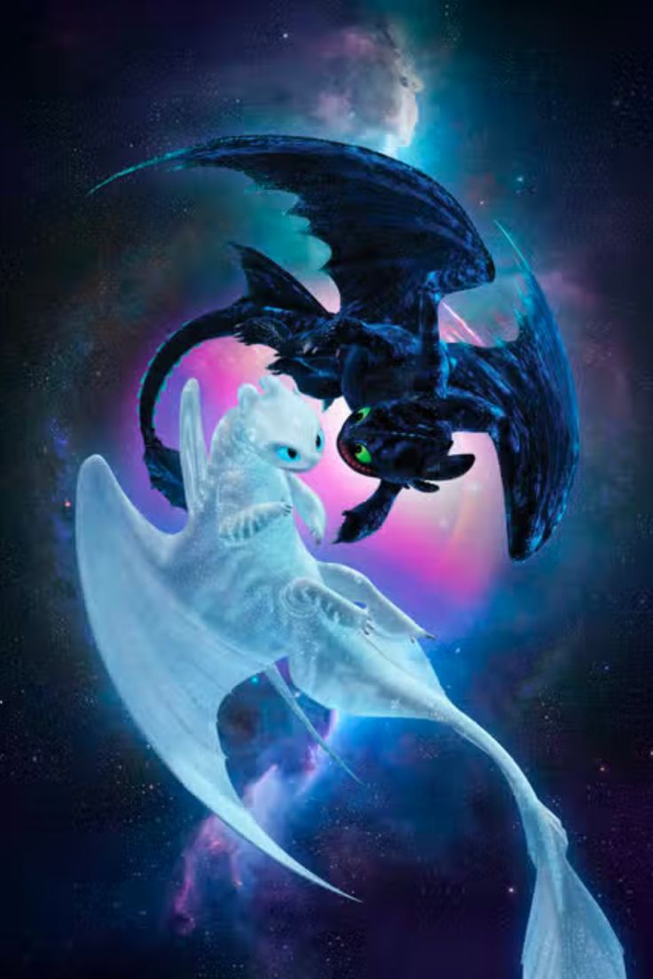 736x1104 Night and Light Fury' Poster, picture, metal print, paint by How To Train Your Dragon