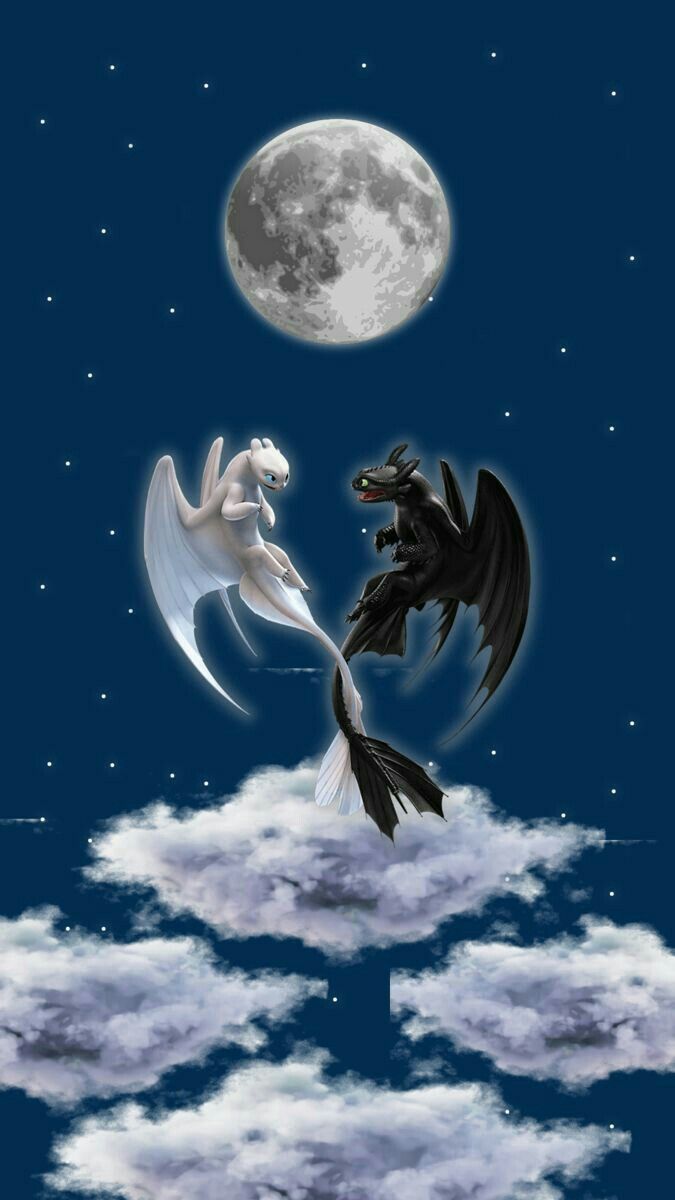 675x1200 Two Black and White Birds Flying under a Full Moon. How to train your dragon wallpaper iphone, Httyd aesthetic wallpaper dragons, How to train your dragon aesthetic wallpaper