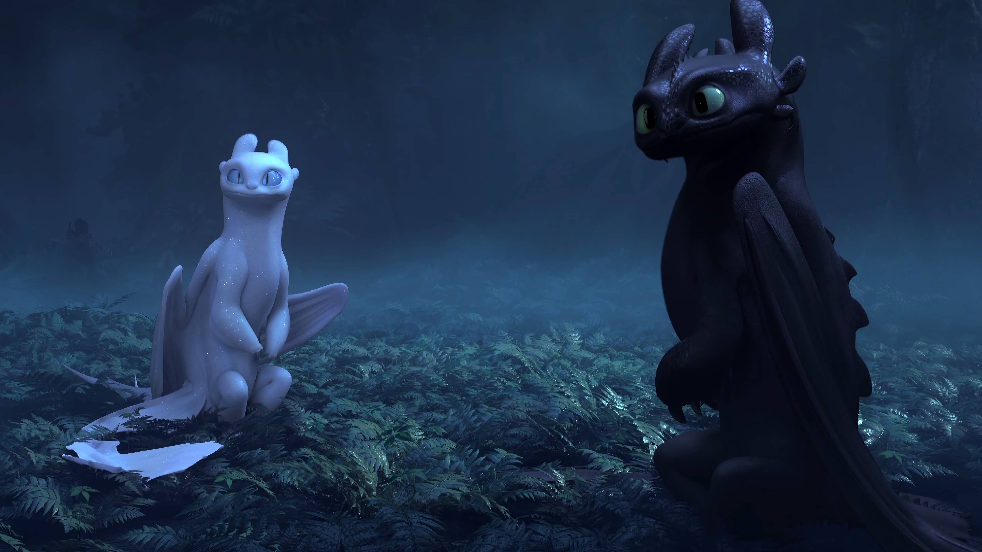 3840x2160 Toothless And The Lightfury Wallpaper