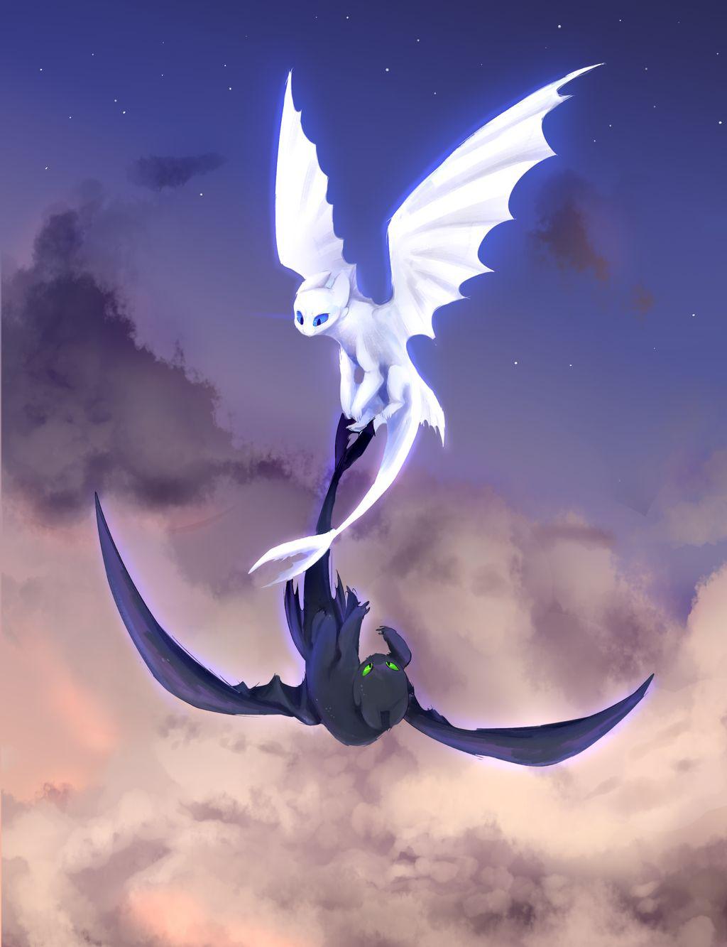 1024x1333 night and light fury