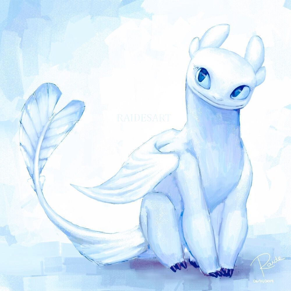 1000x1000 Night Fury And Light Fury Art Wallpaper