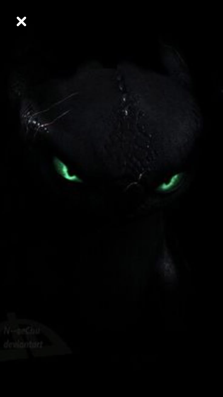 736x1309 NightFury