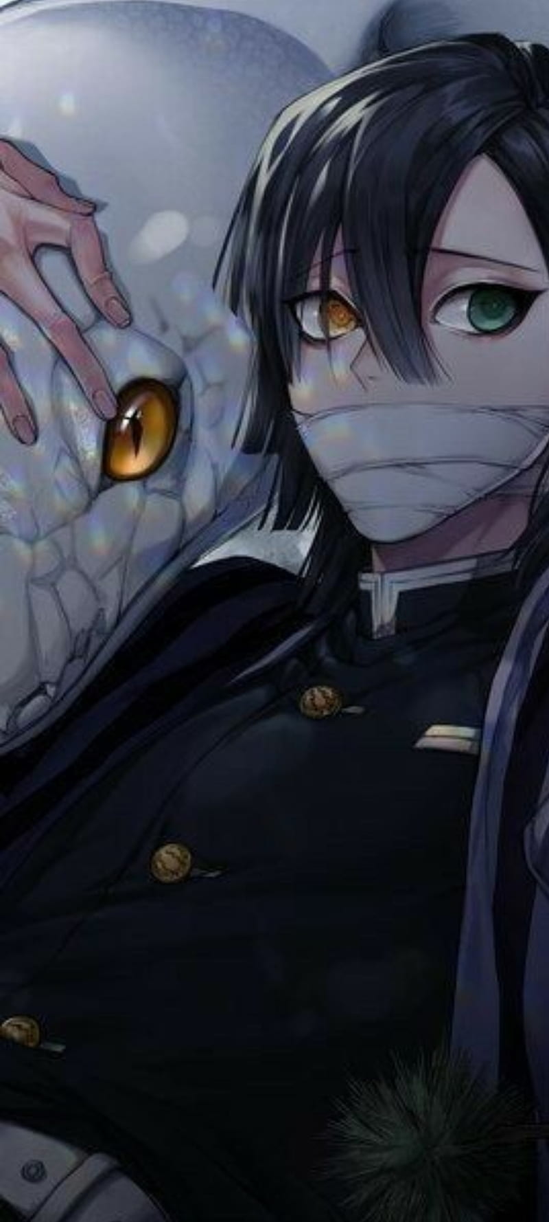 800x1778 Obanai iguro, anime, anime, HD phone wallpaper