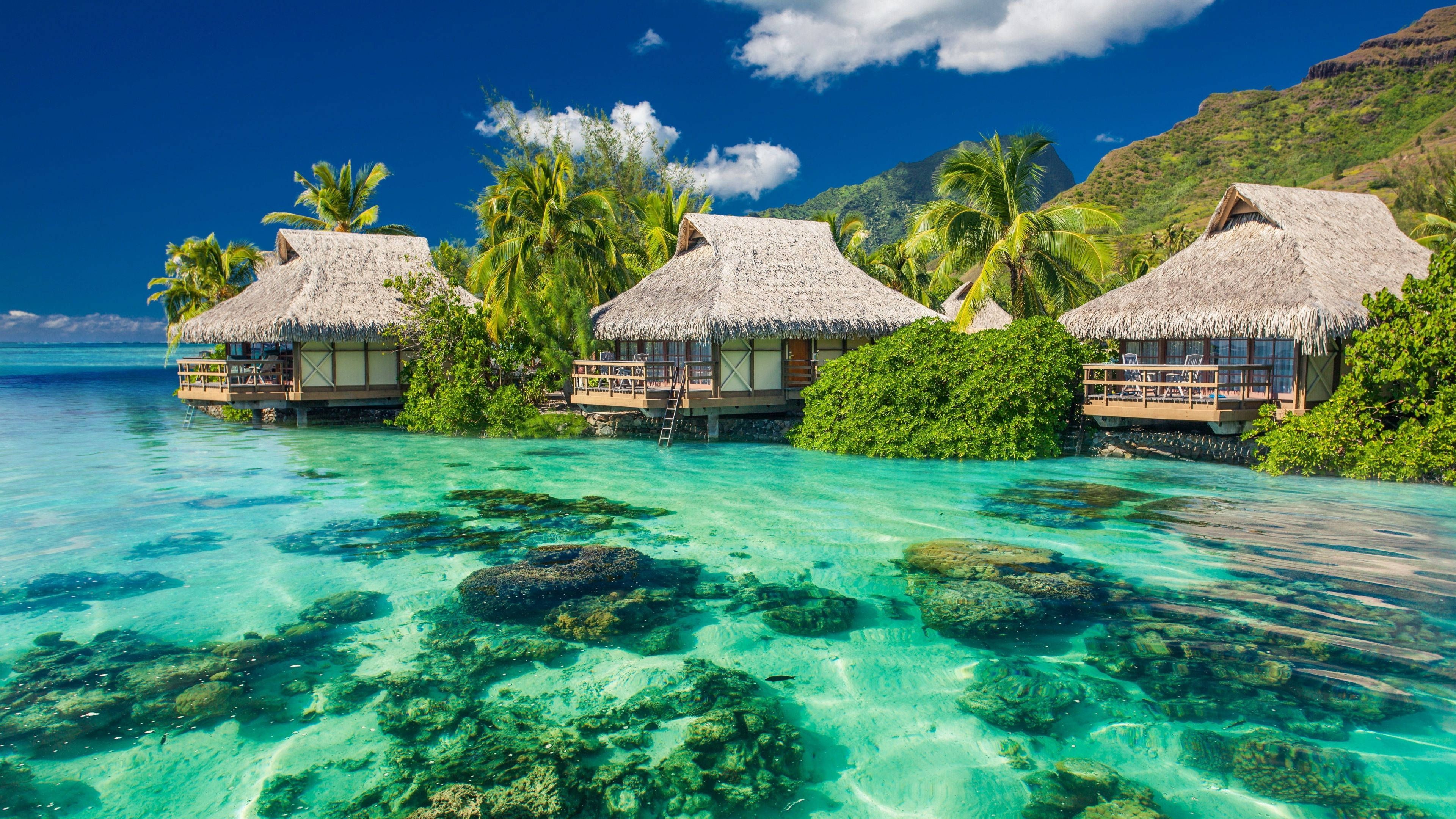 3840x2160 Download Tahiti Beach Scenes Desktop Wallpaper