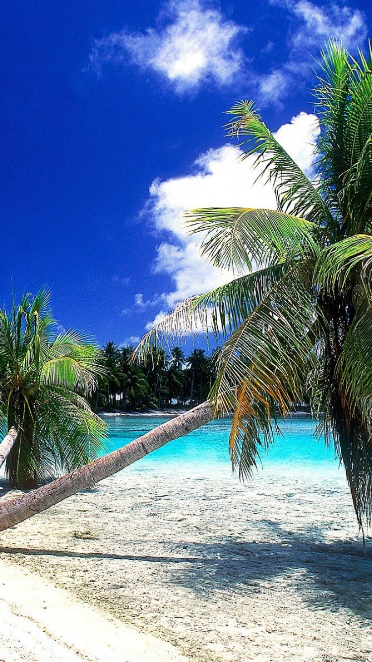 750x1334 Tahiti French Polynesia Wallpaper