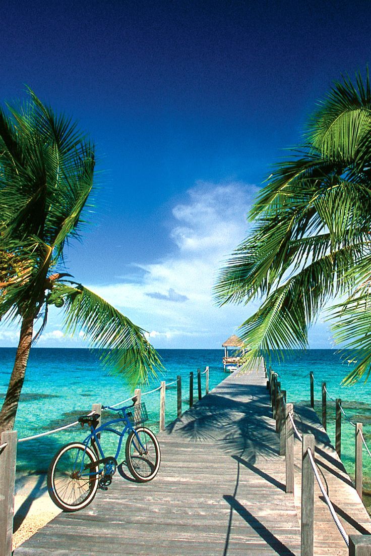 736x1102 Tahiti Tourisme in the World