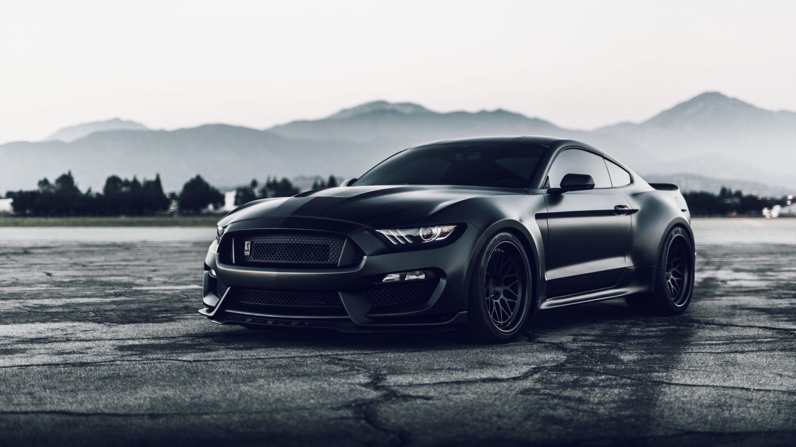 2560x1440 Best Mustang GT Wallpaper For Desktop, PC, Laptop, Computer [ 4k, HD ]