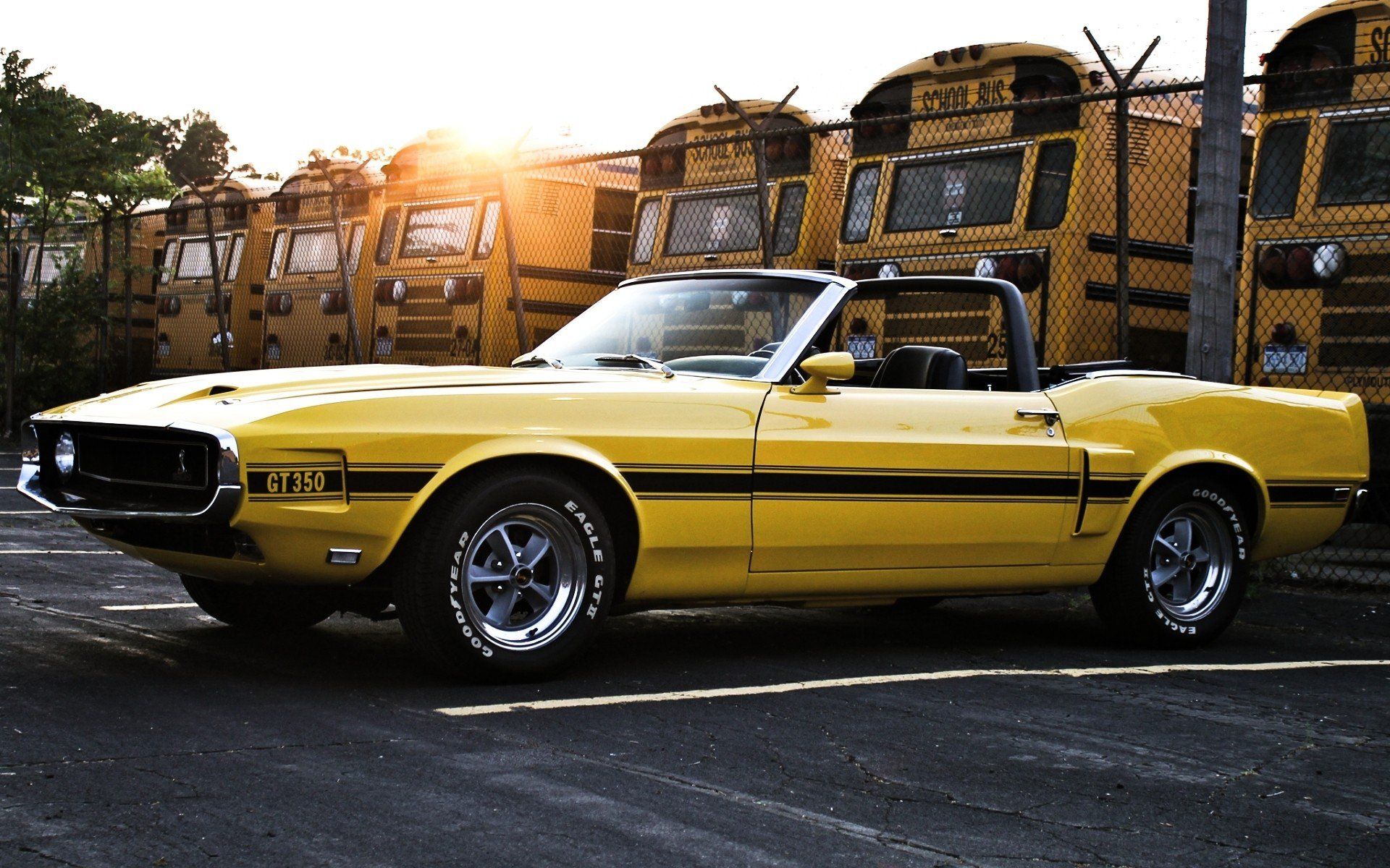 1920x1200 Ford Shelby GT350 Yellow Convertible Muscle Car HD Wallpaperx1200